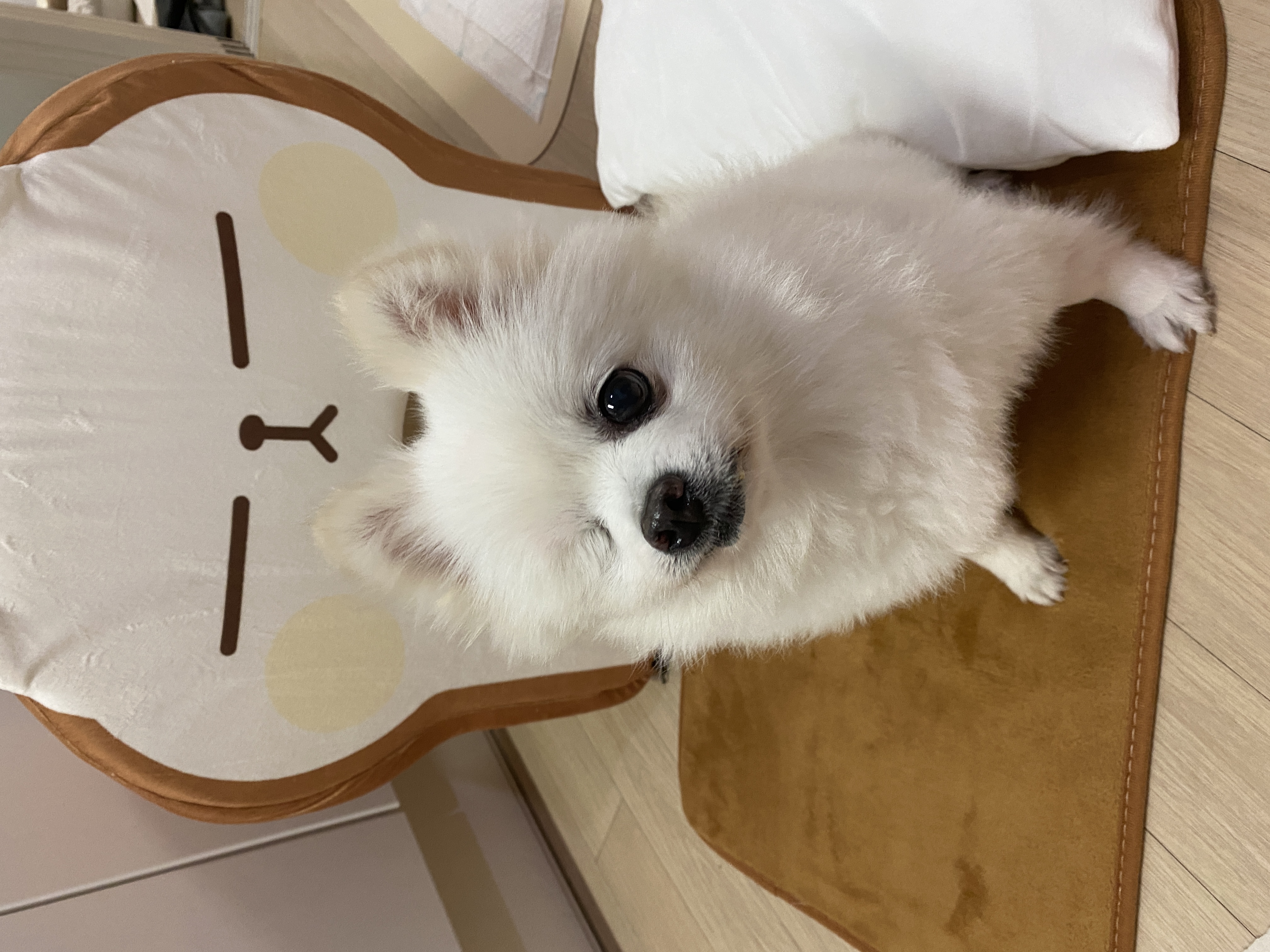 내겐 너무 완벽한 그녀, 그림이의 입양 후 3개월