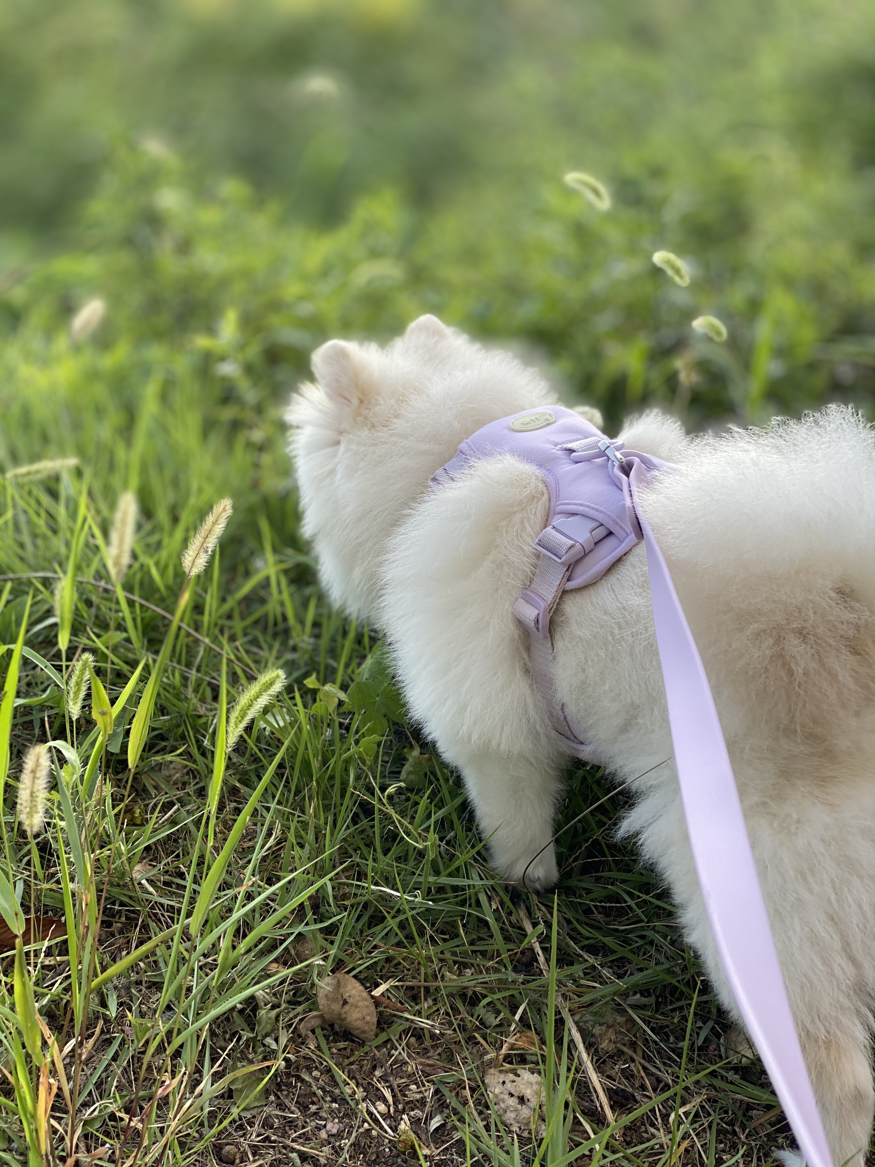 내겐 너무 완벽한 그녀, 그림이의 입양 후 3개월