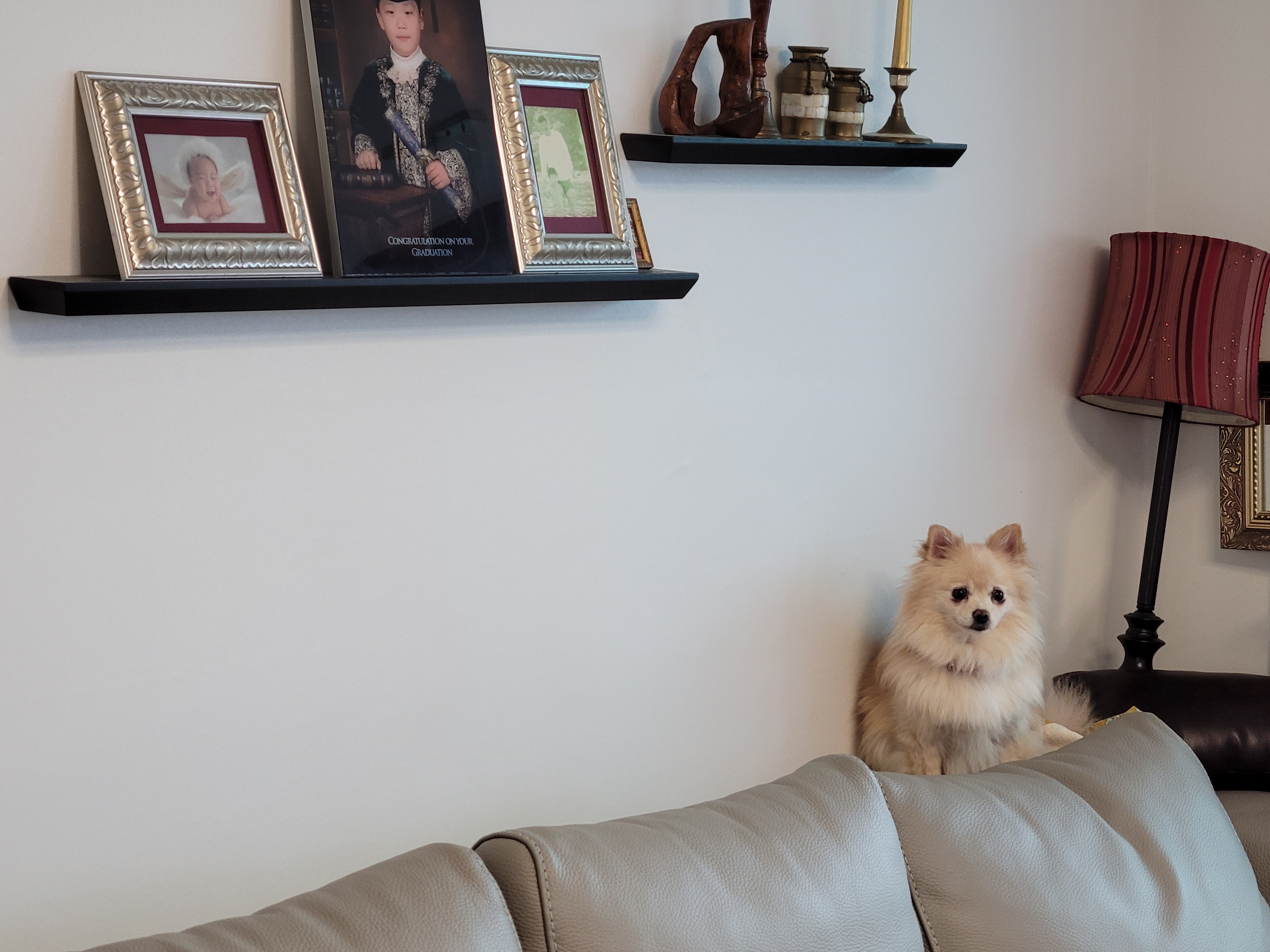 꼭지와 까꿍이의 생활