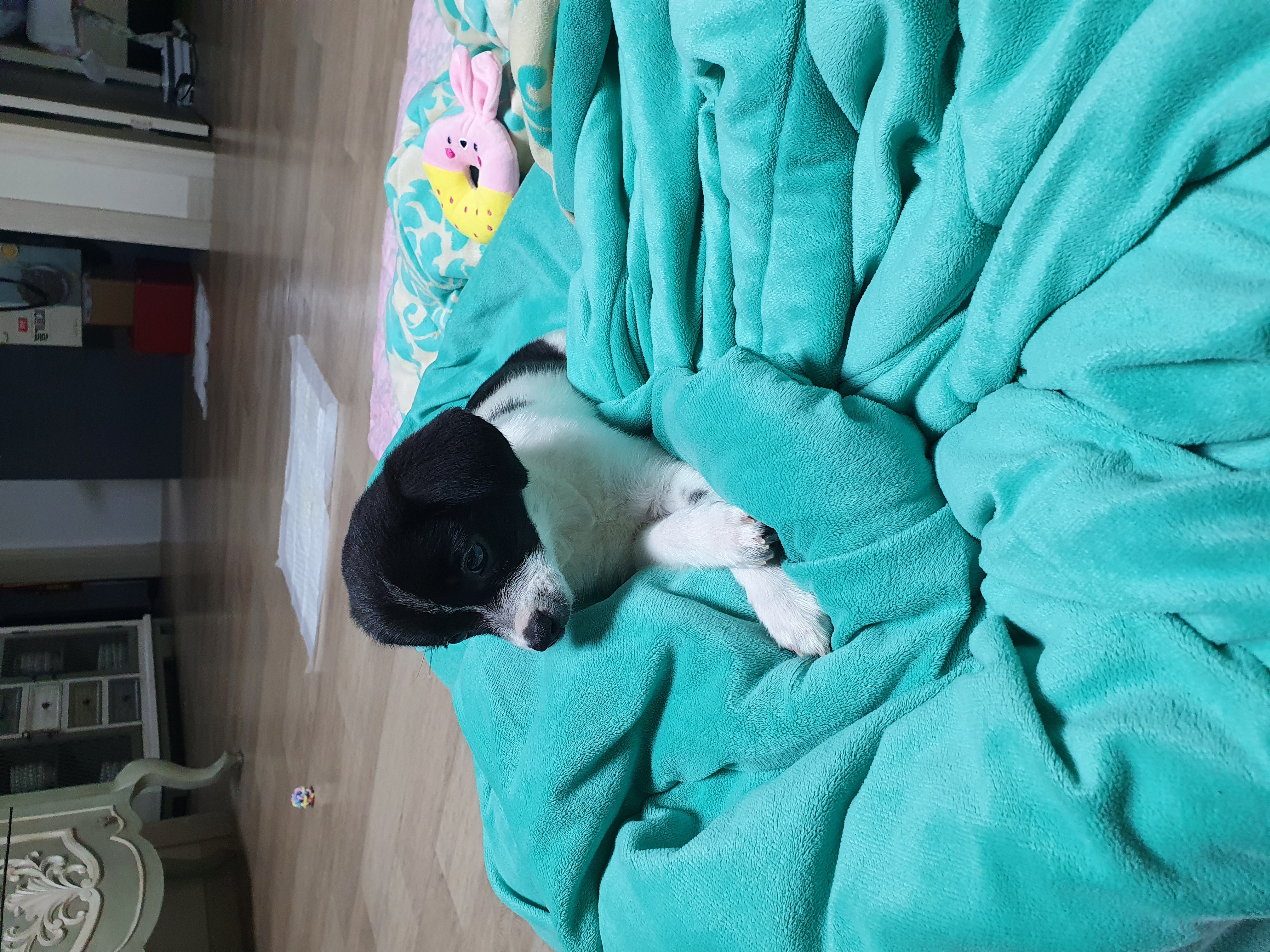 하니 잘지내고 있어요