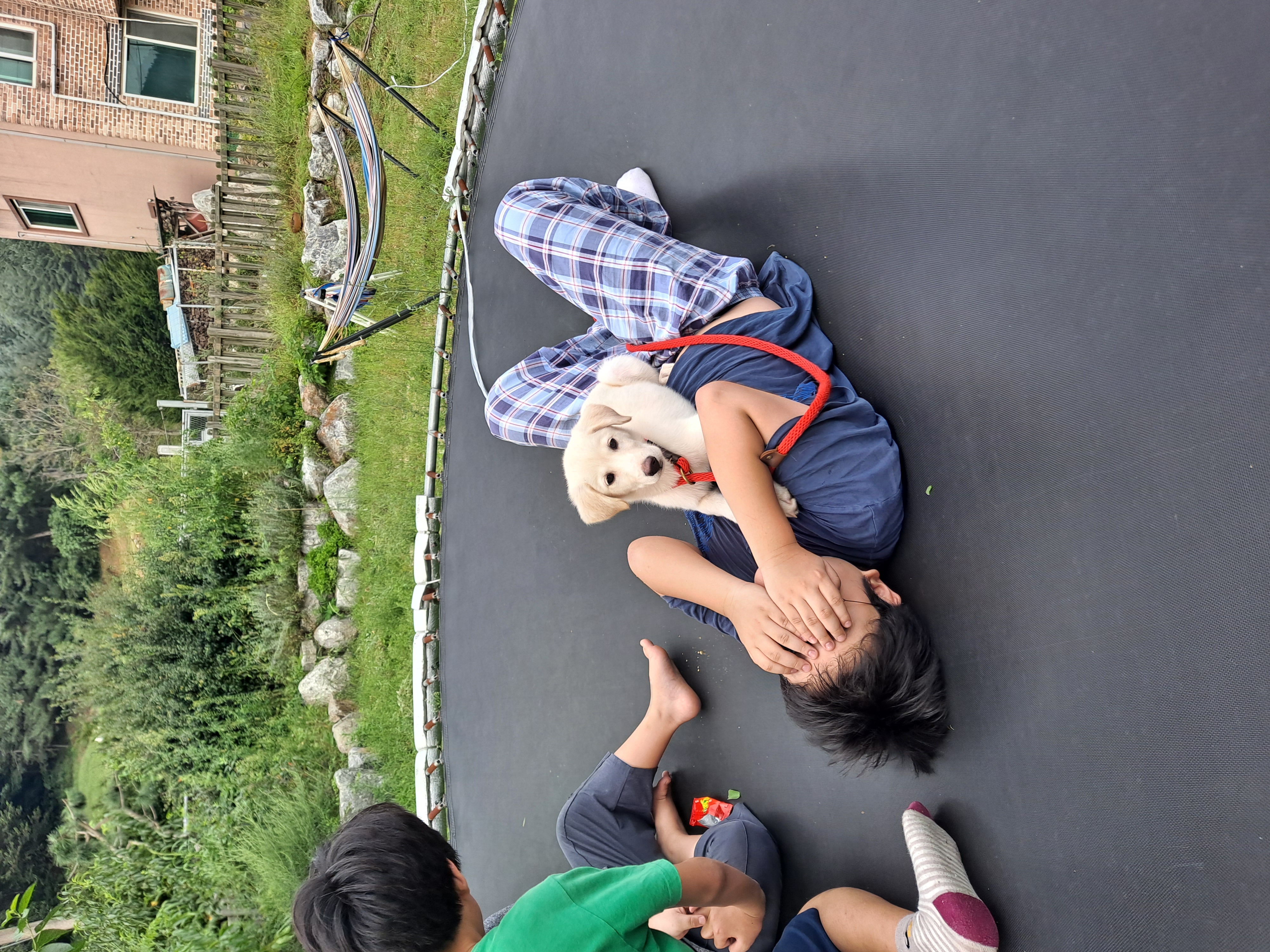 하양이 벌써한달 됐네요^^