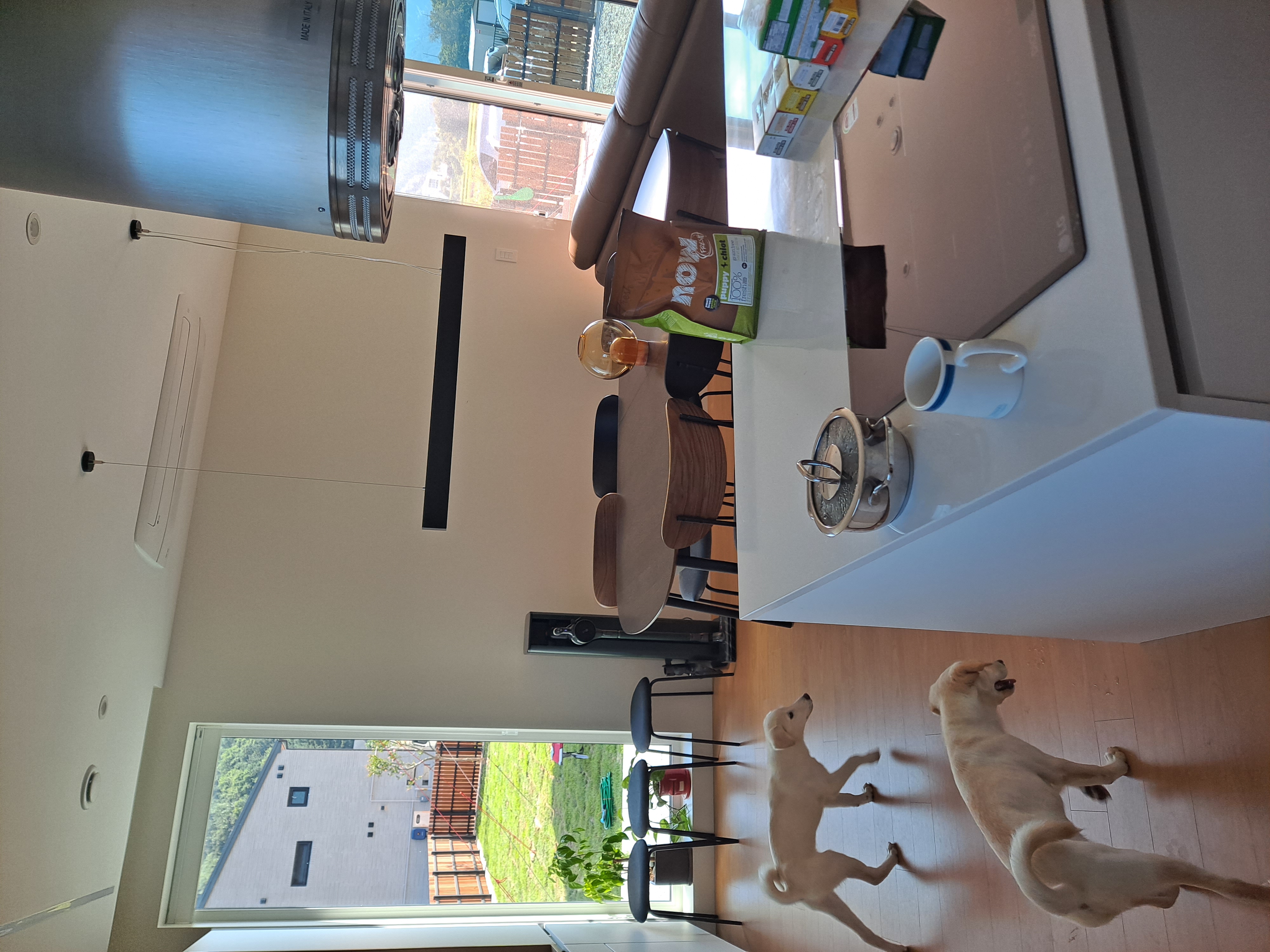 하양이 벌써한달 됐네요^^