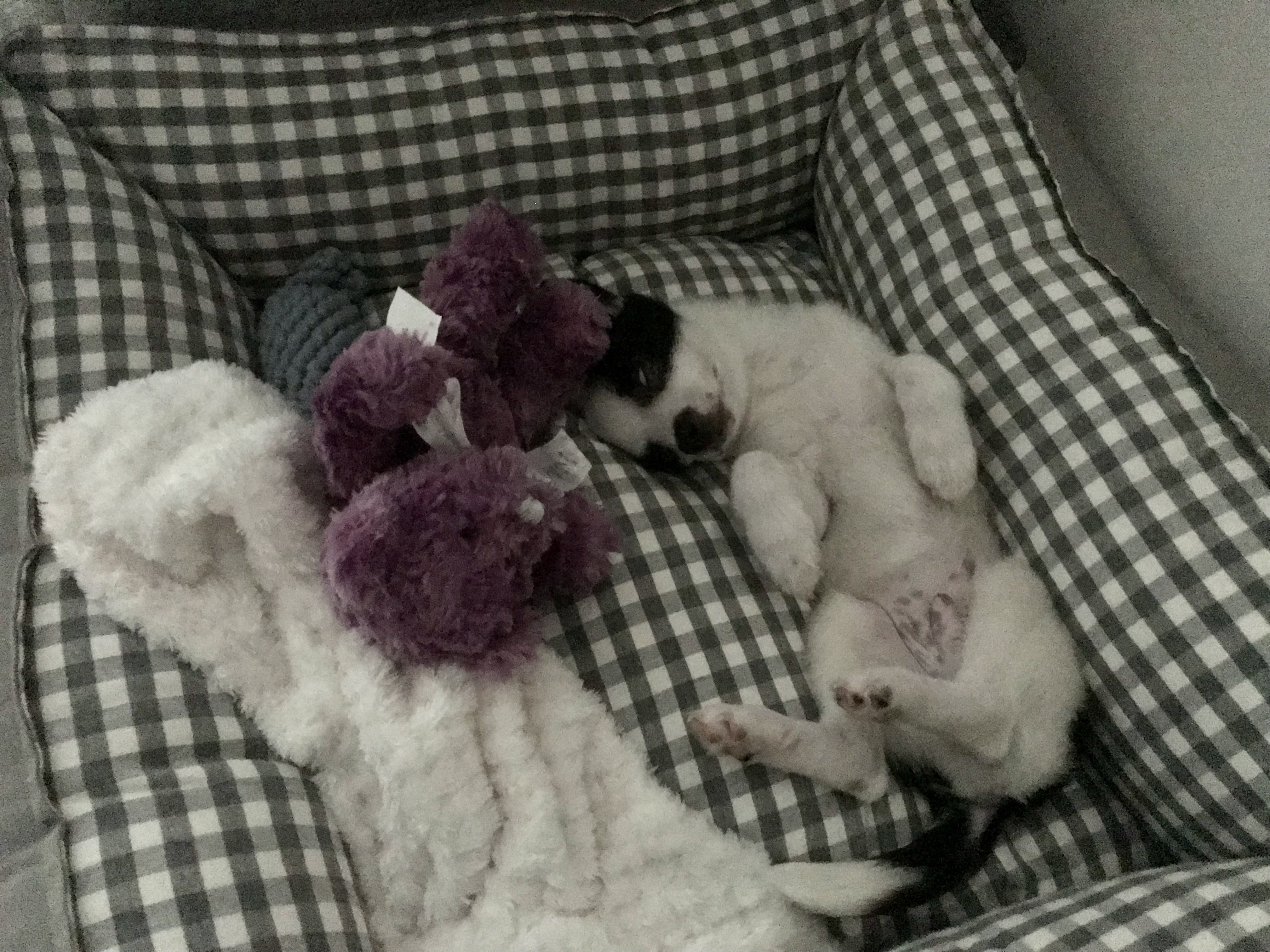 가을이(모뜨)랑 벌써 일주일+_+