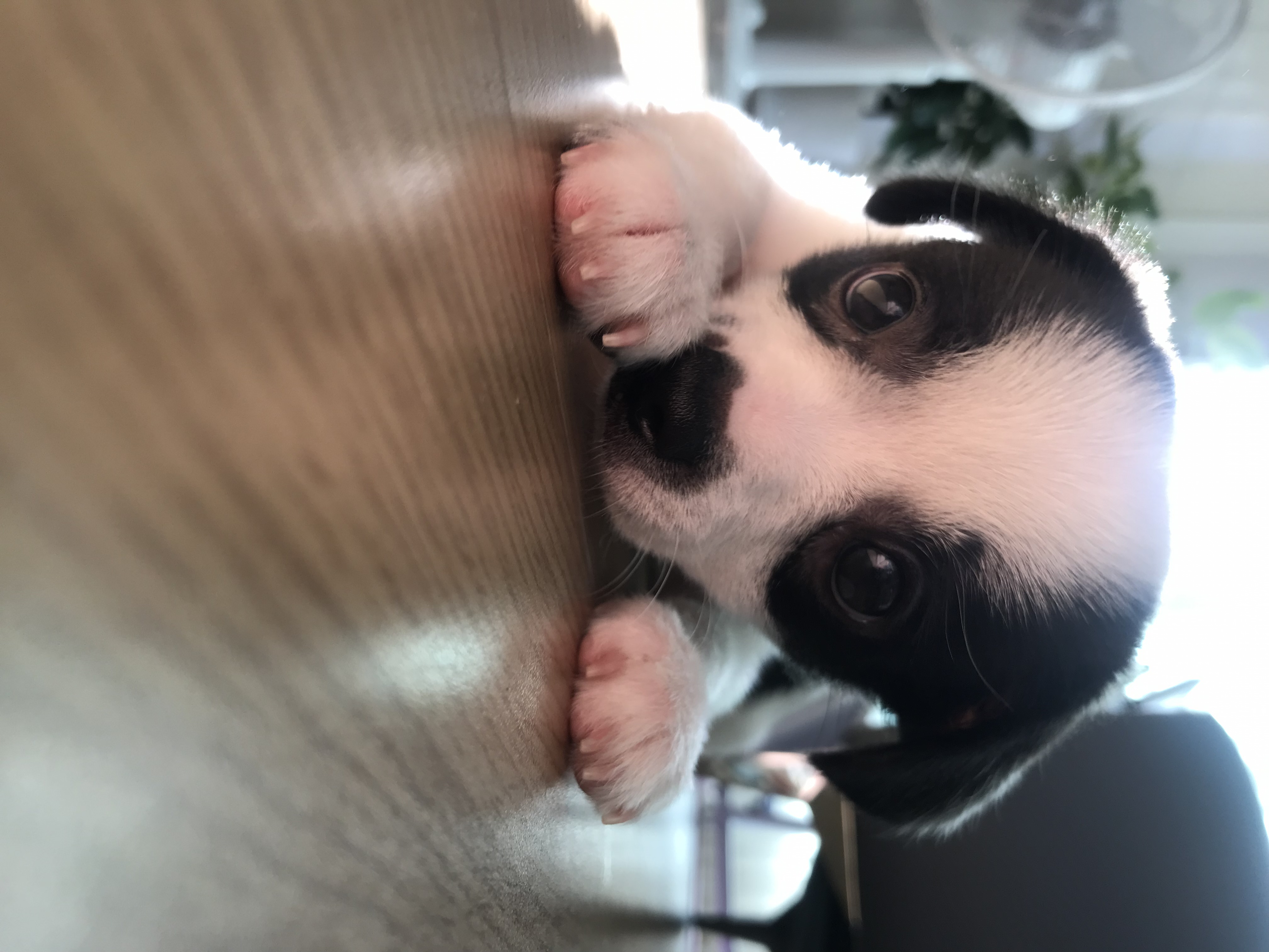 가을이(모뜨)랑 벌써 일주일+_+