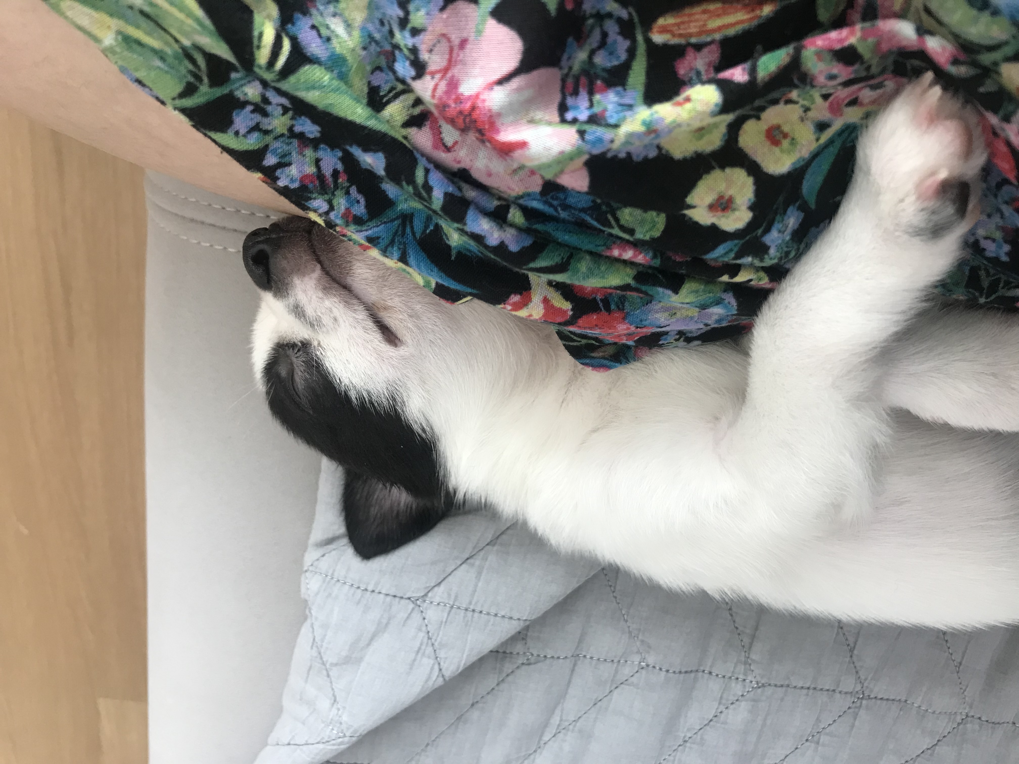 가을이(모뜨)랑 벌써 일주일+_+