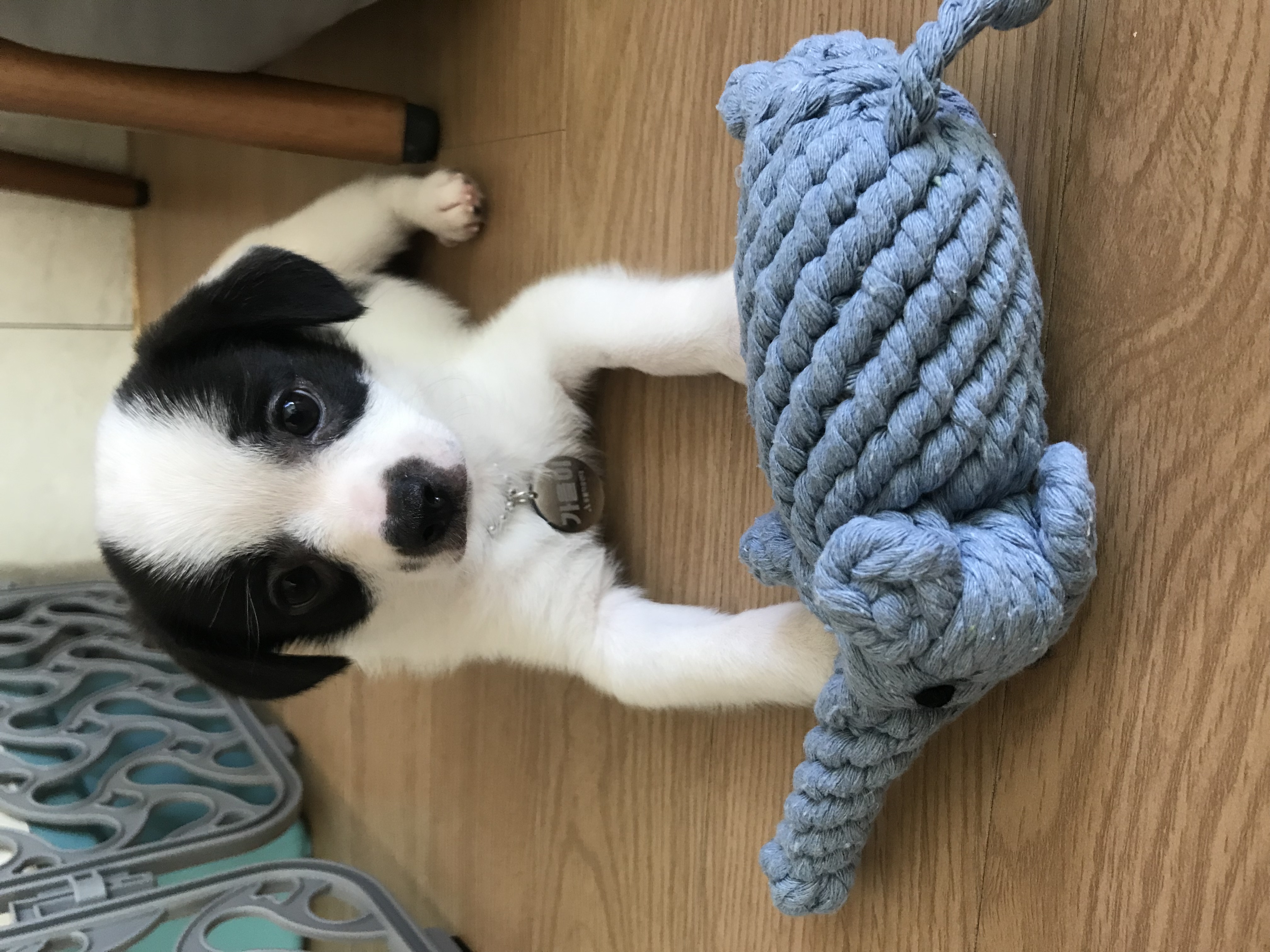 가을이(모뜨)랑 벌써 일주일+_+