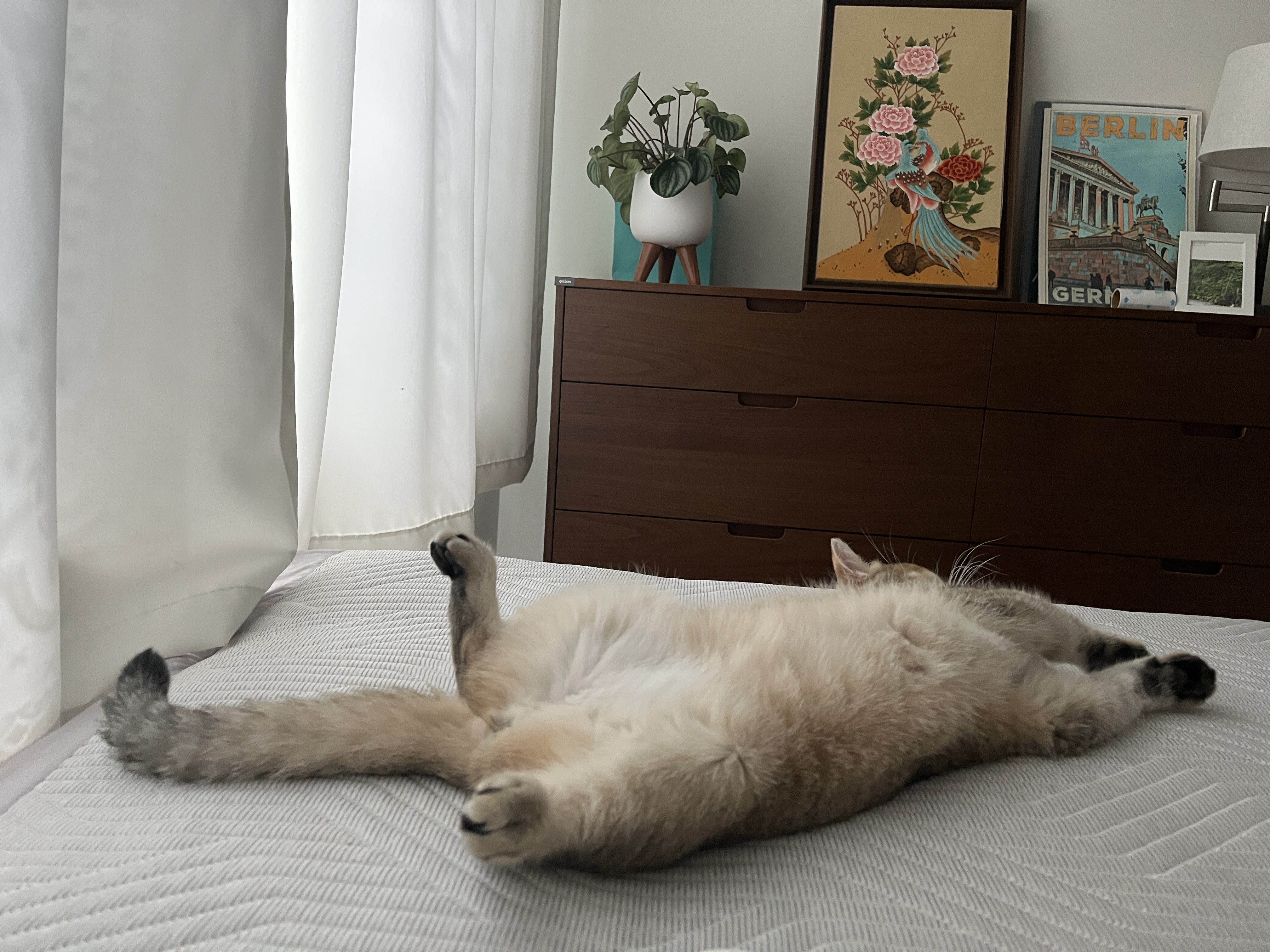 열매(구 사월이) 세 달 후기