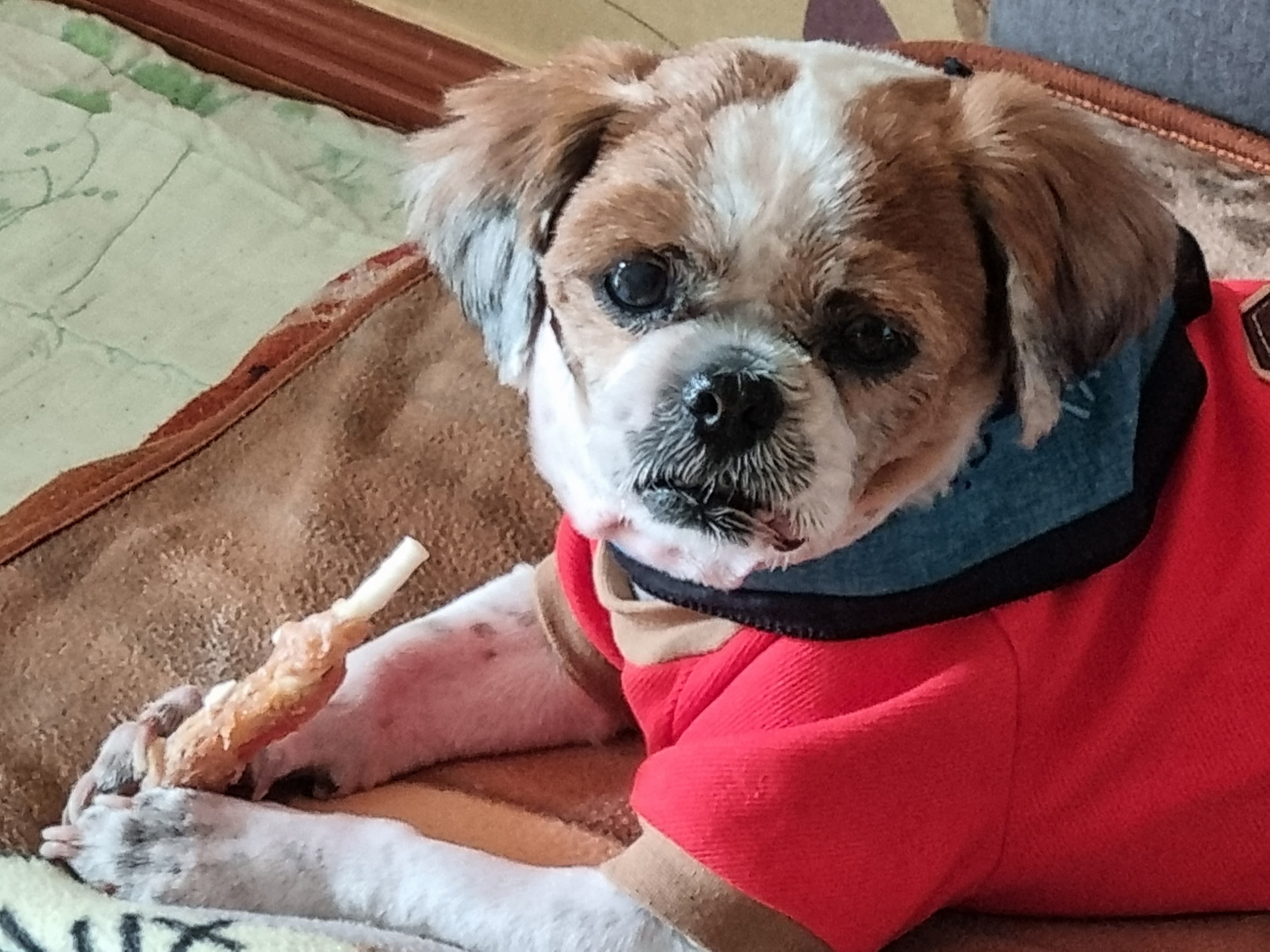 포동이 3개월 후기