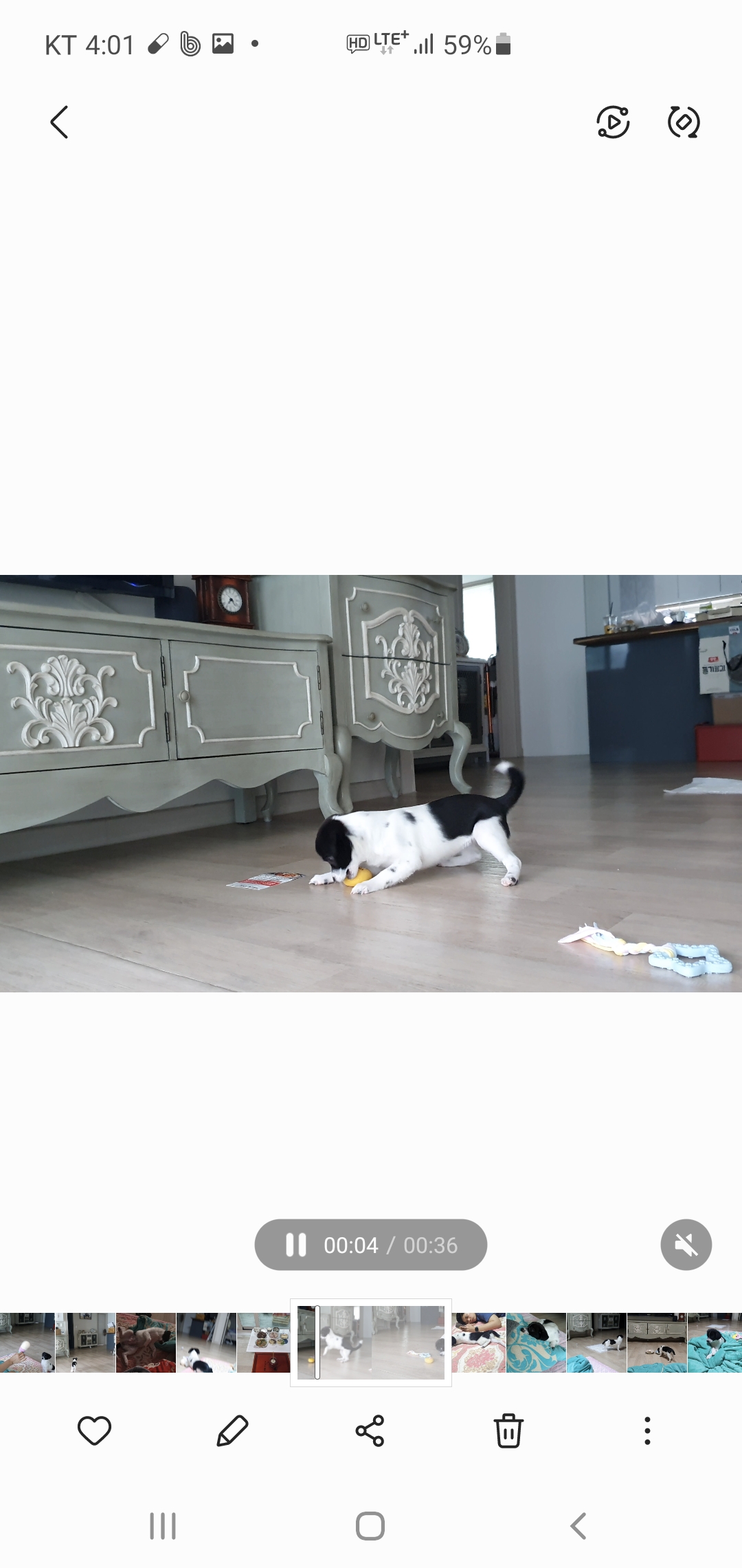 하니 입양 2주차