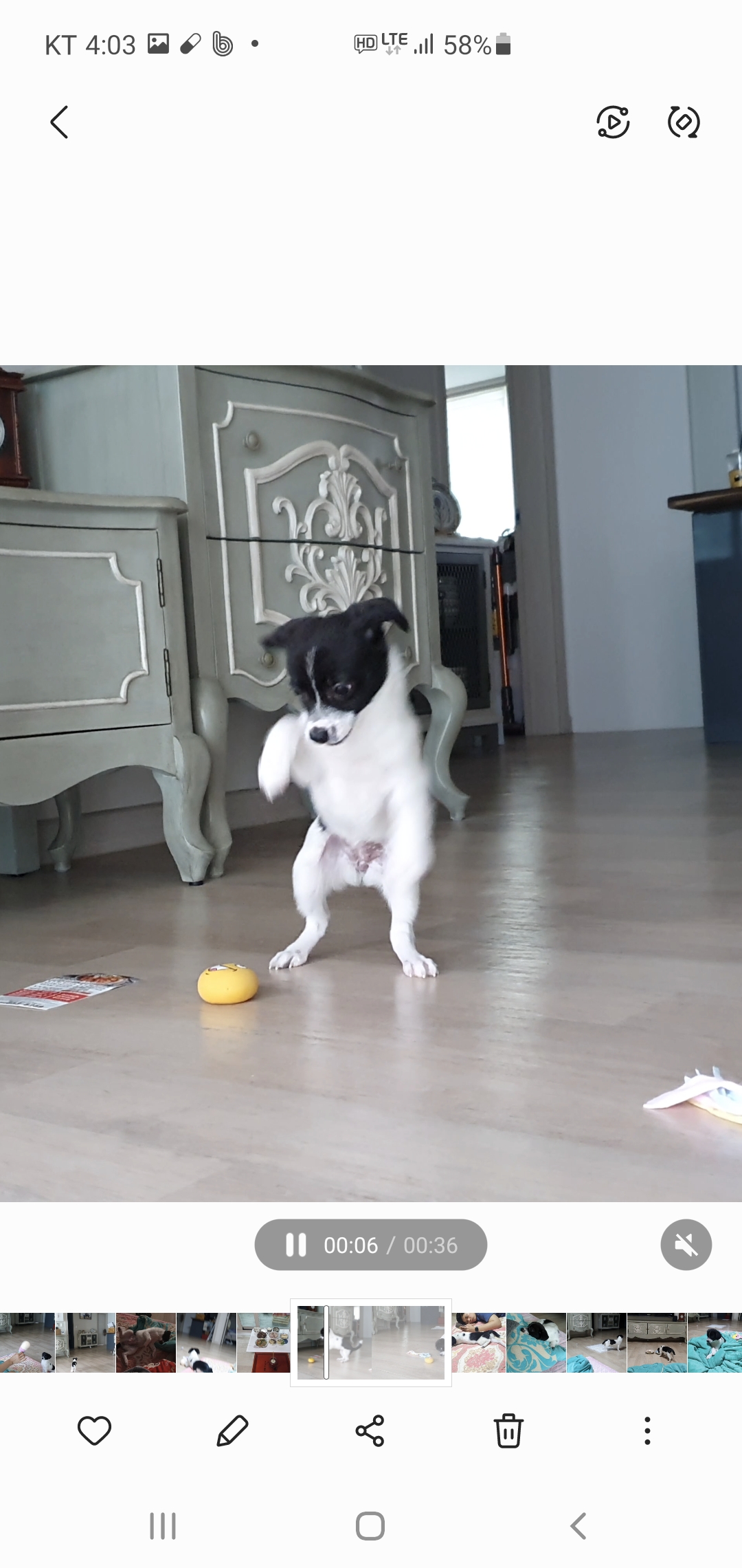 하니 입양 2주차