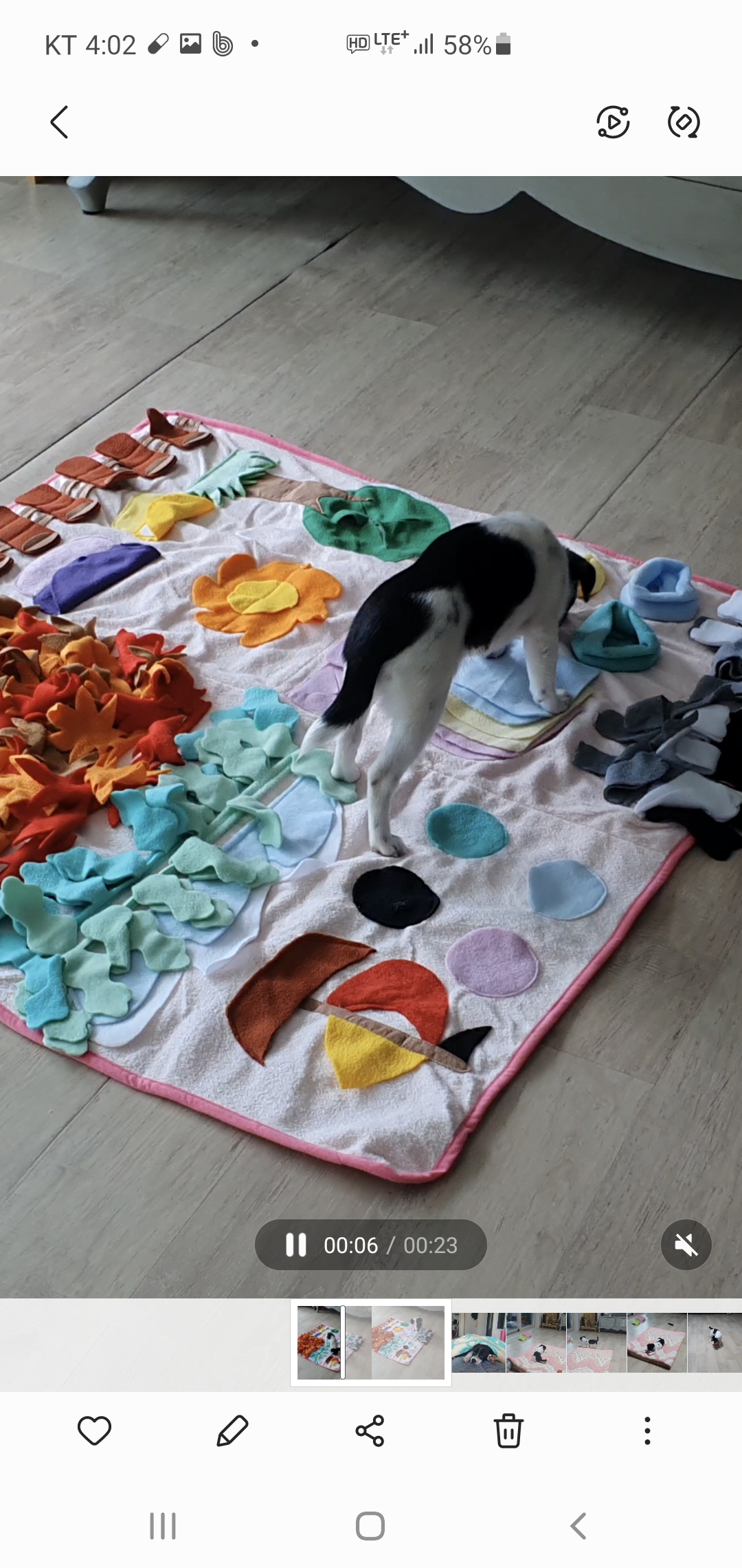 하니 입양 2주차