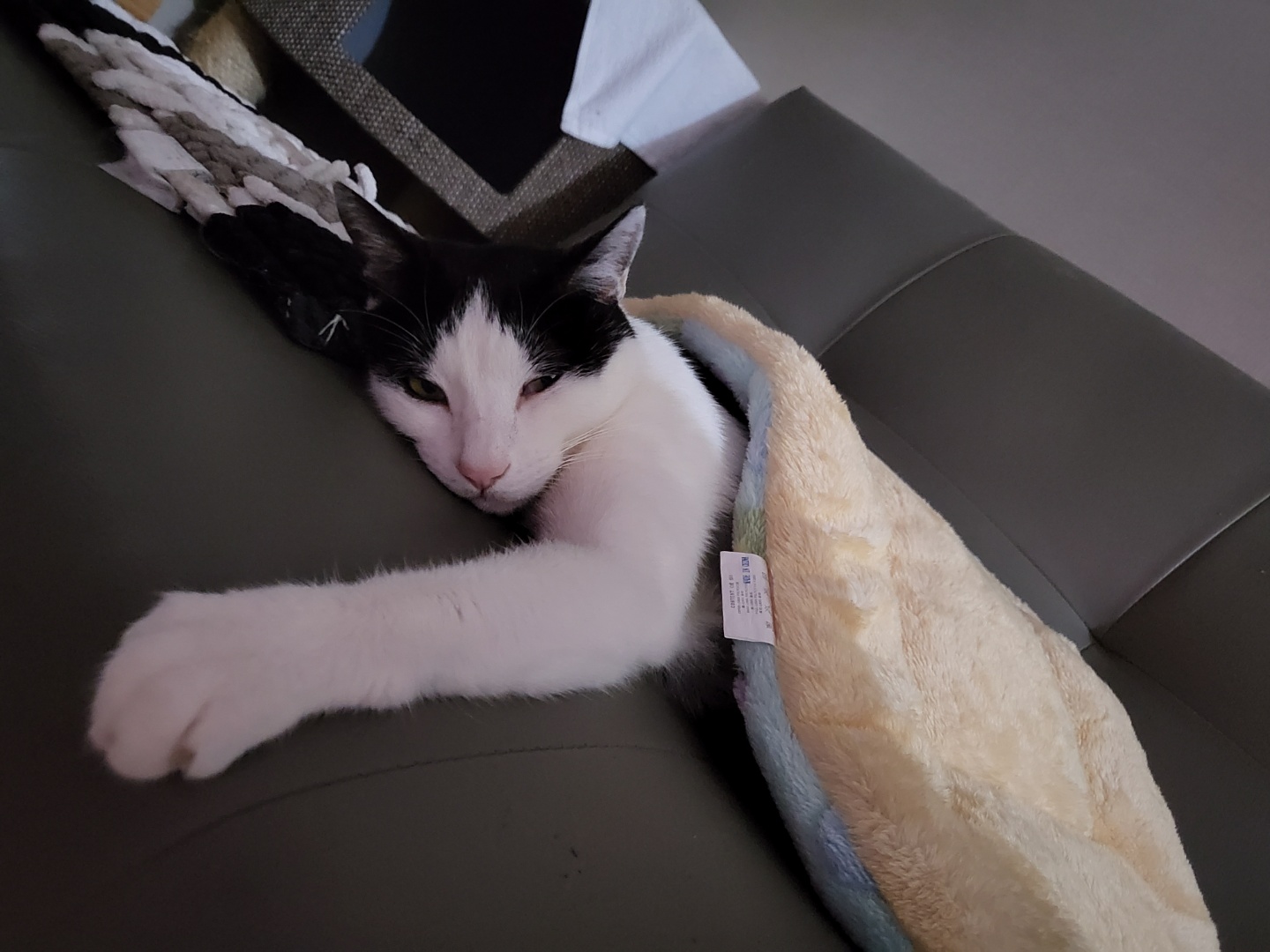 새싹이3개월넘었네요:)