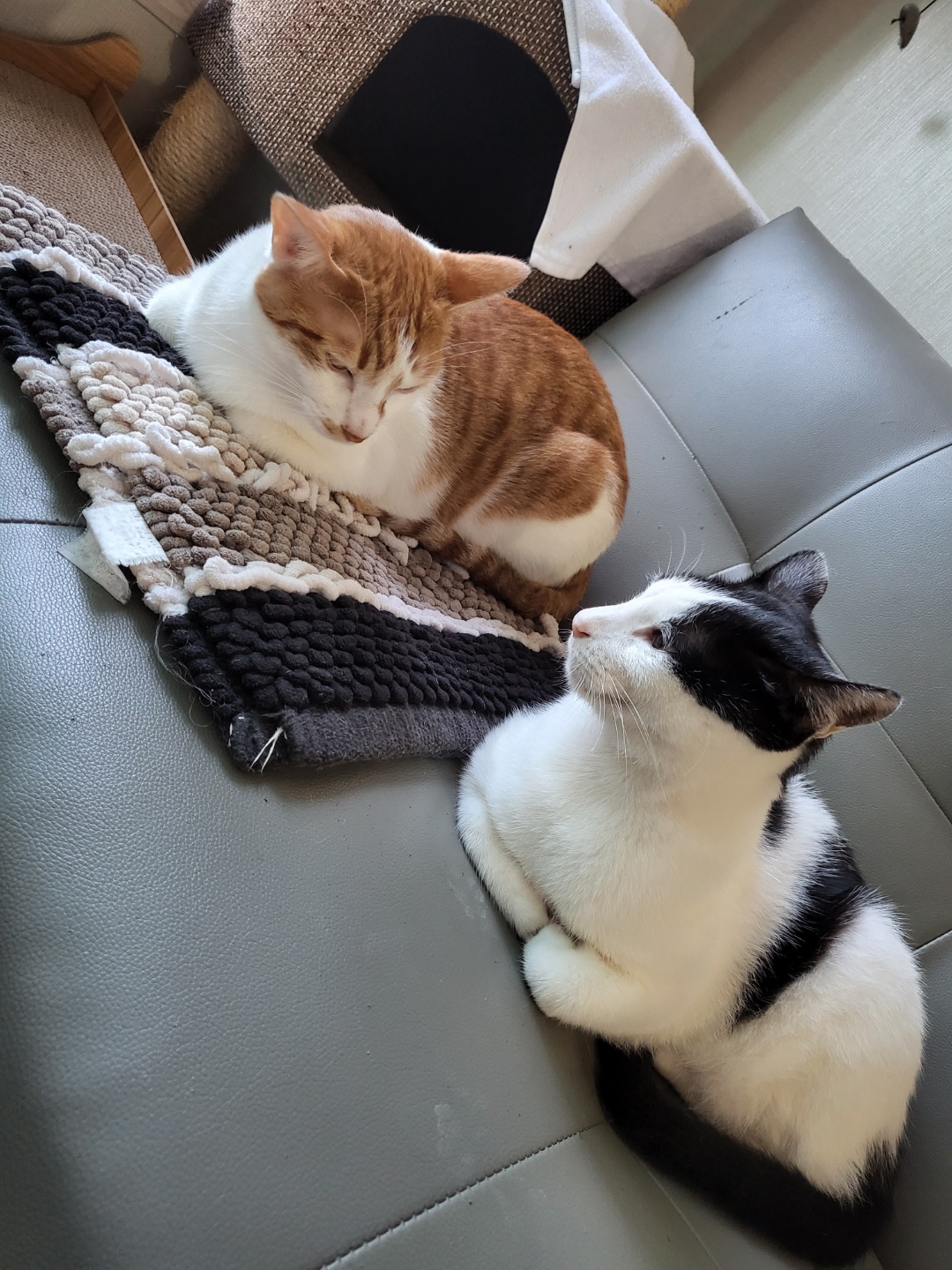 새싹이3개월넘었네요:)