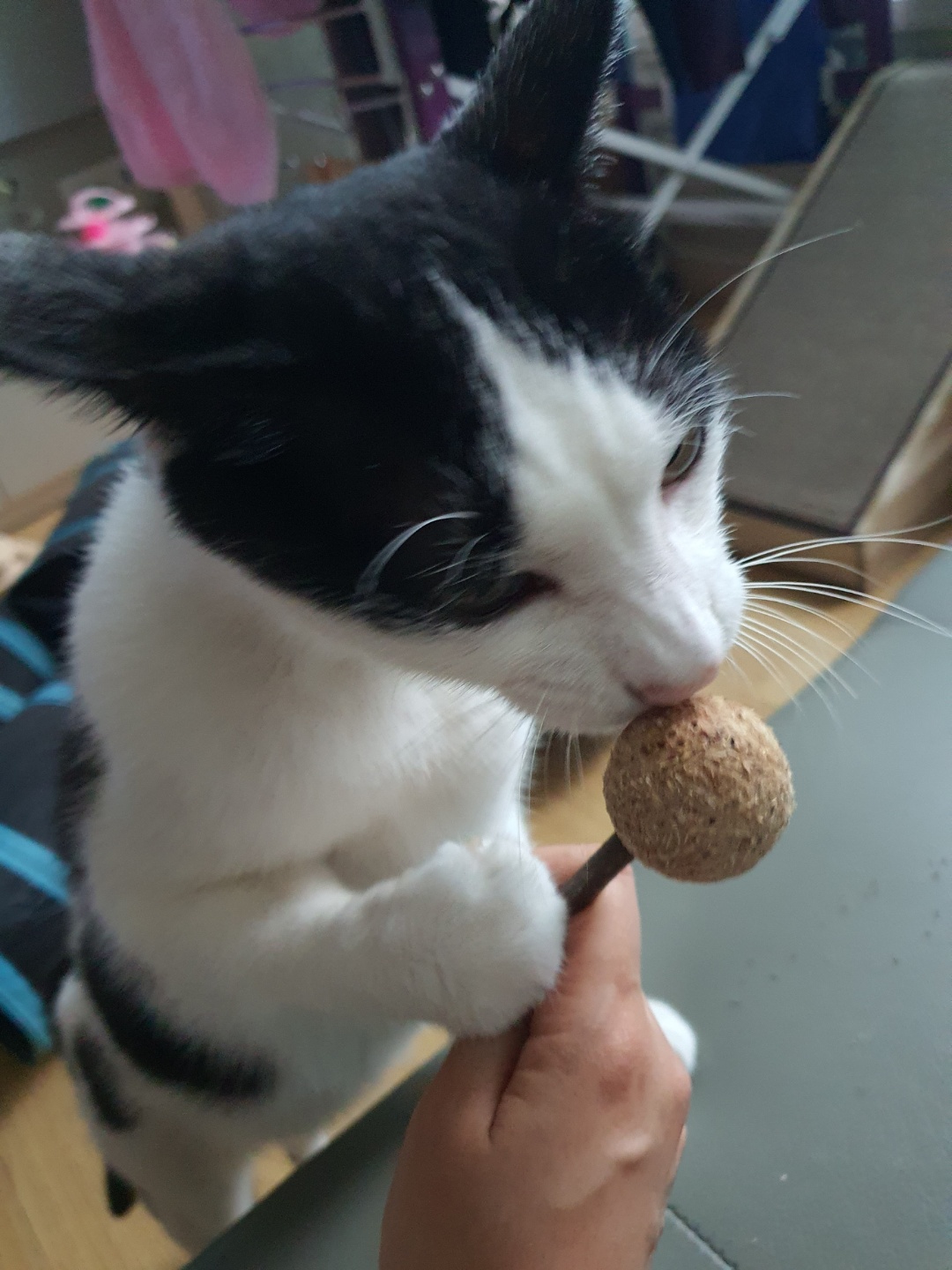 새싹이3개월넘었네요:)