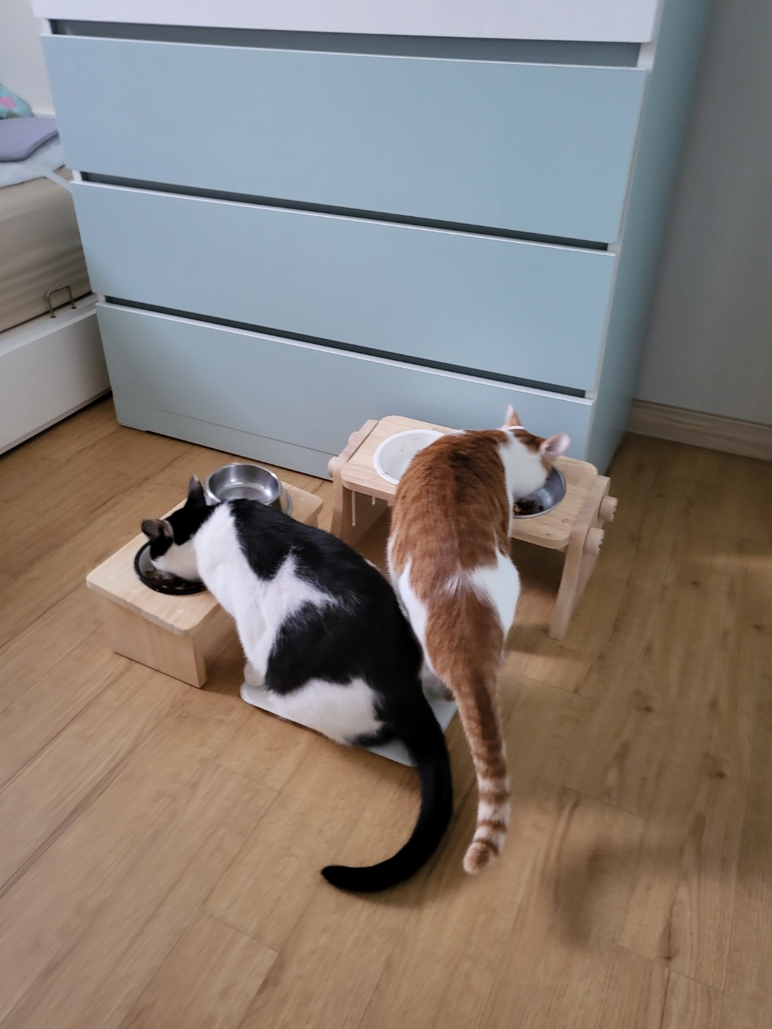 새싹이3개월넘었네요:)