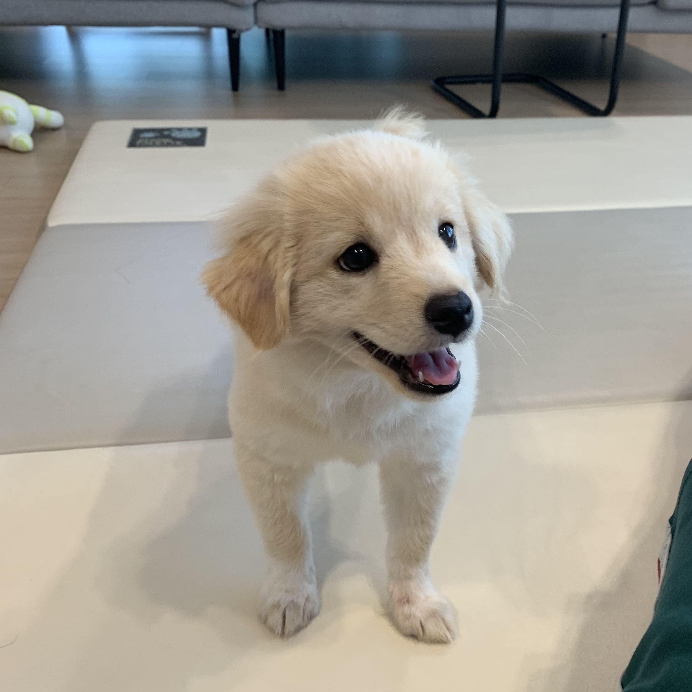 하트니(무사) 첫 번째 이야기