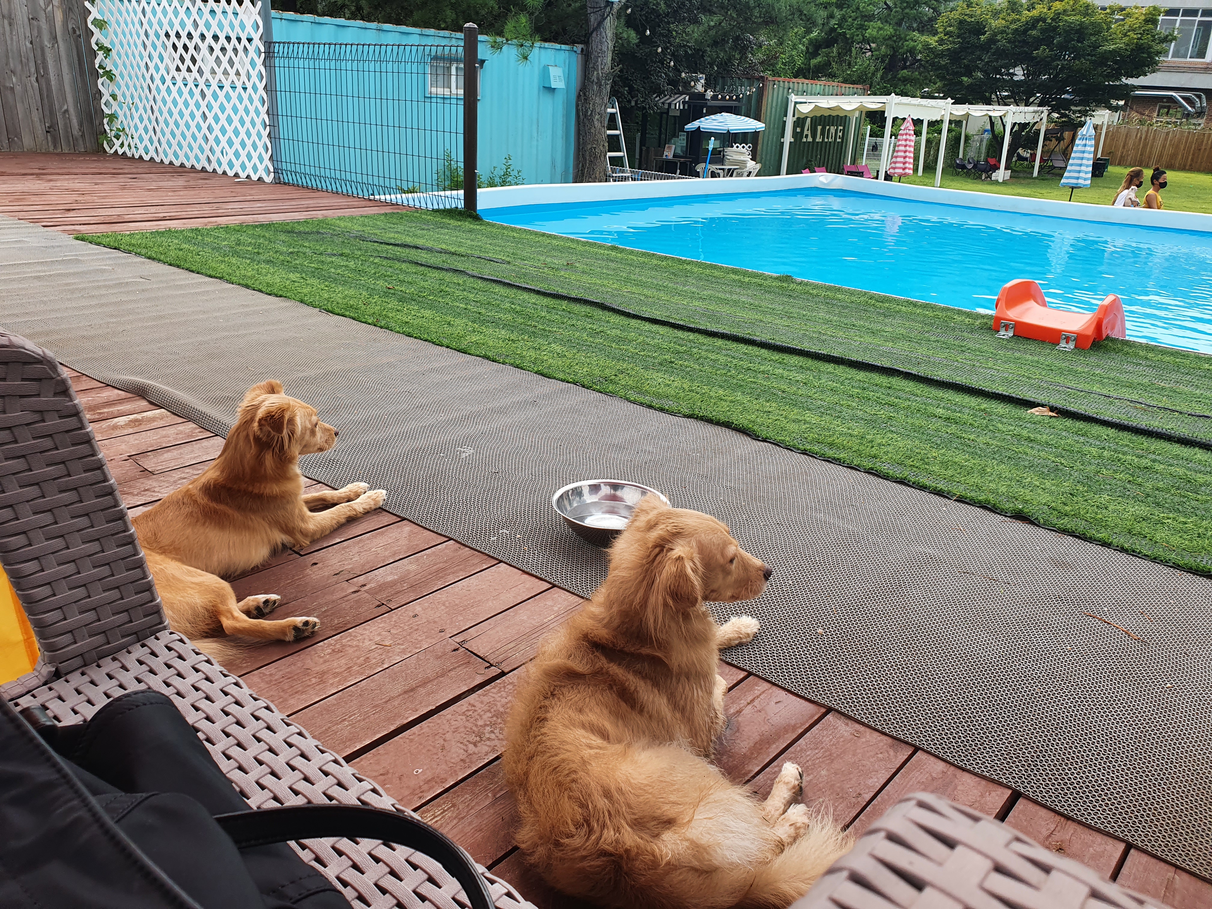 호두시루 1년 후기