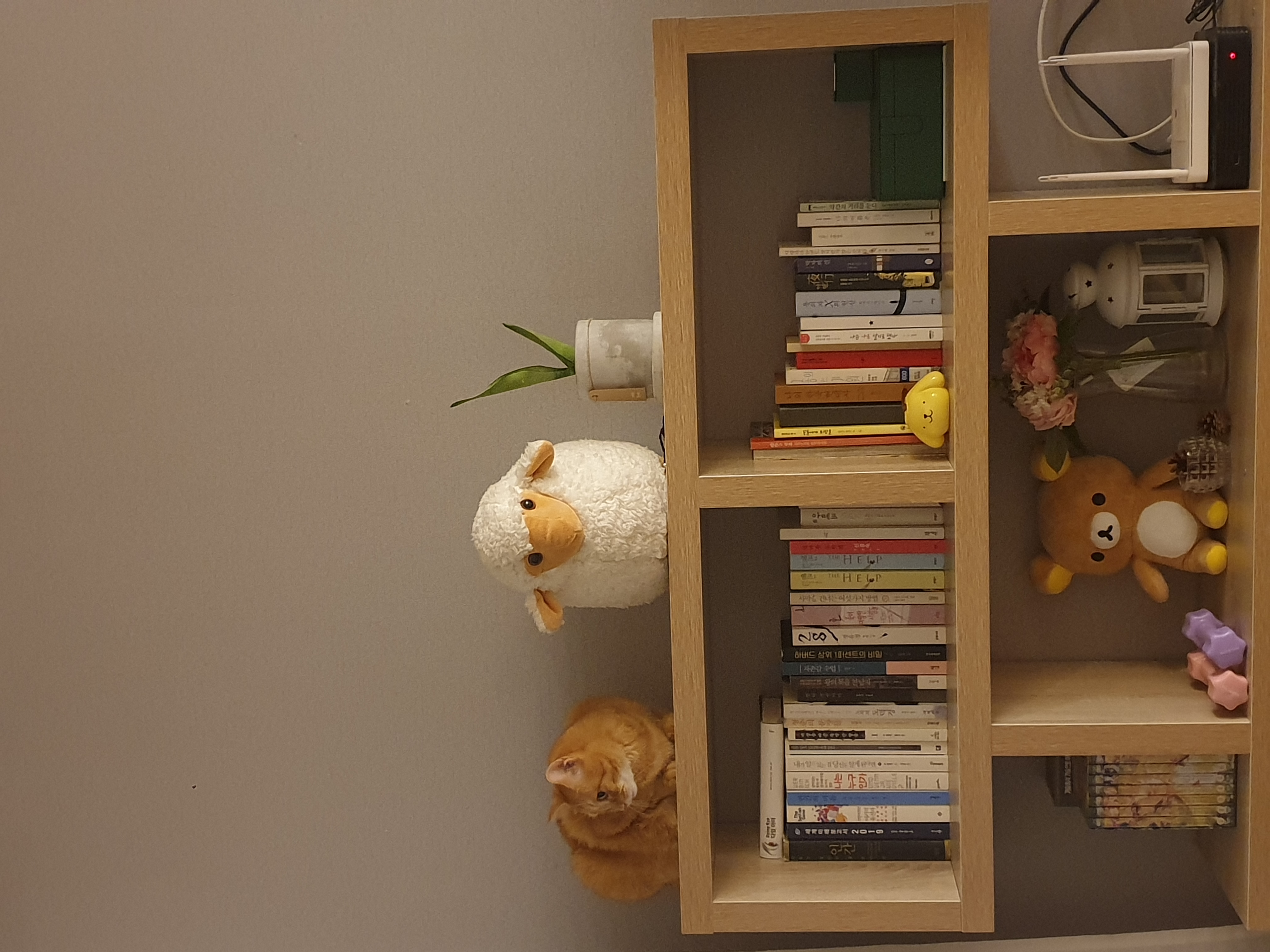 테오 와 다솔이(고양이)