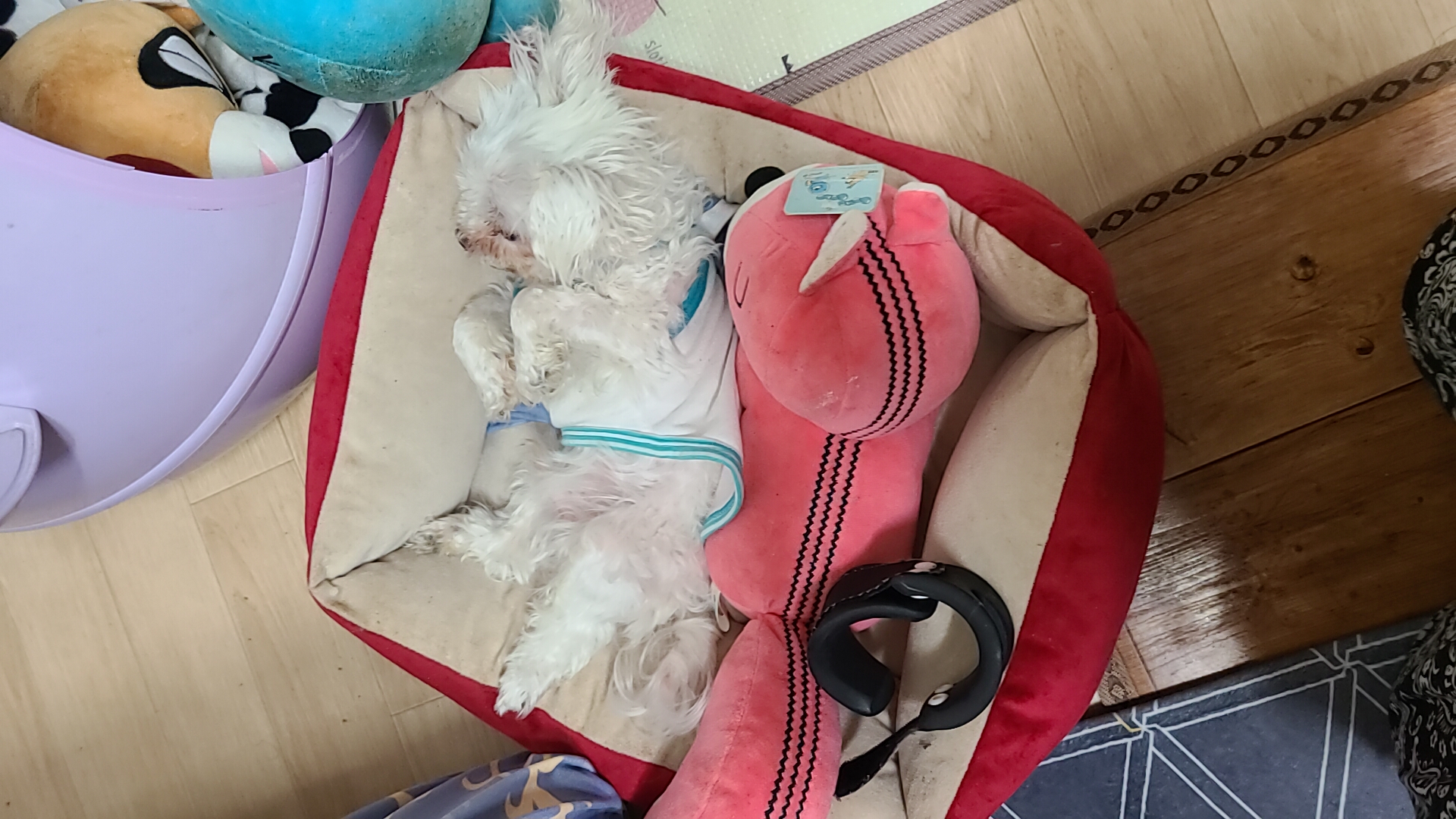 벌써 1년 9개월~~!