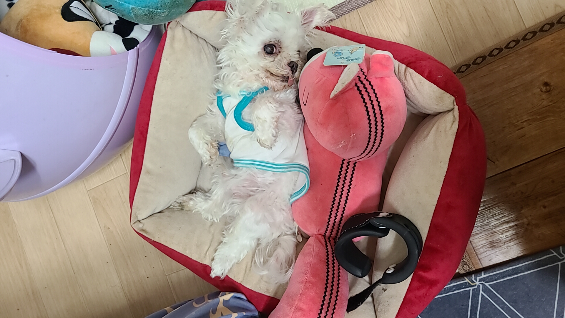 벌써 1년 9개월~~!