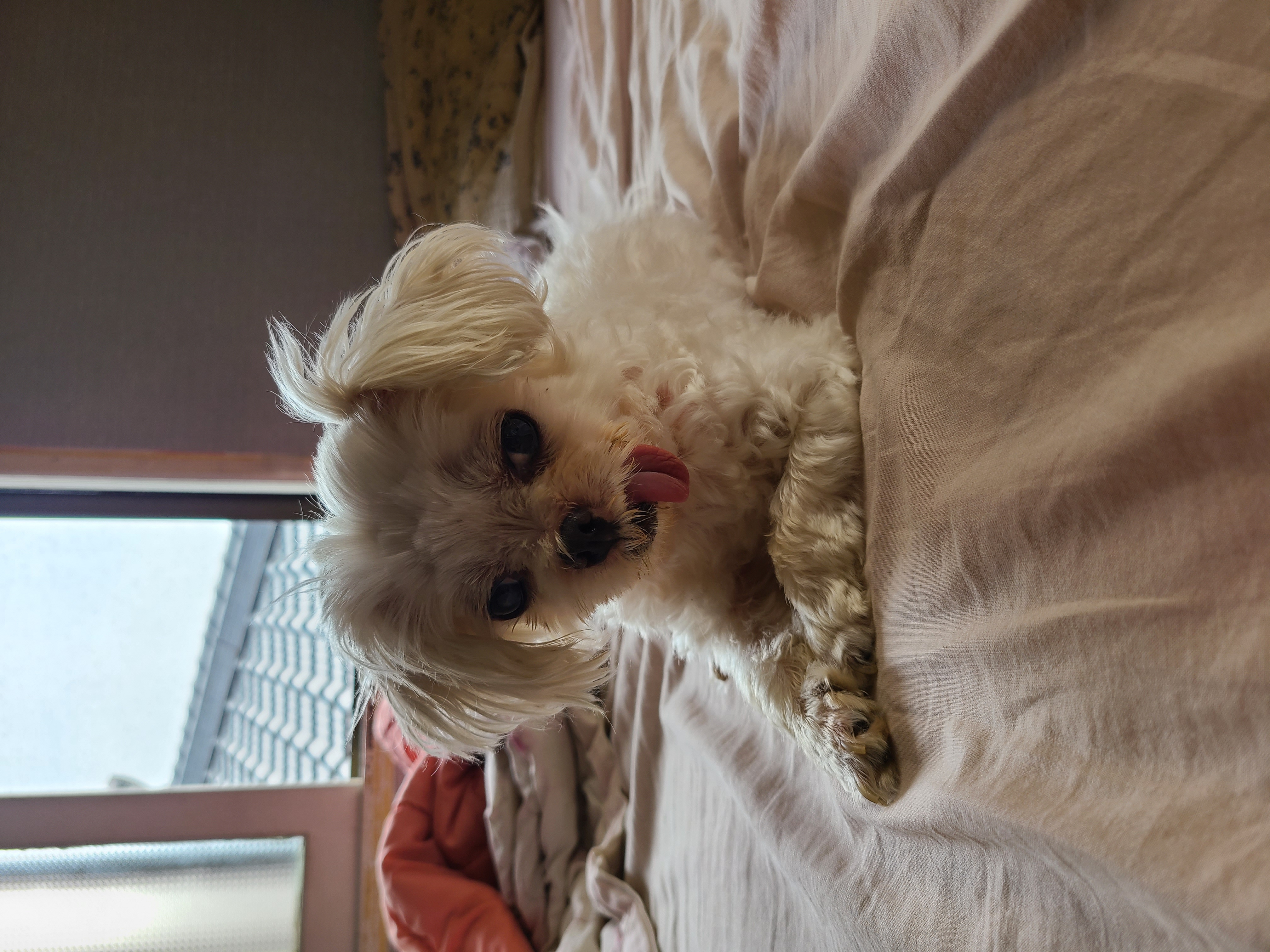 벌써 1년 9개월~~!