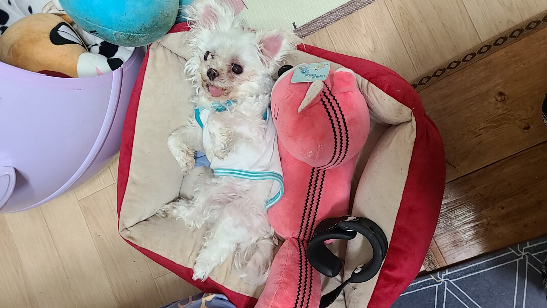 벌써 1년 9개월~~!