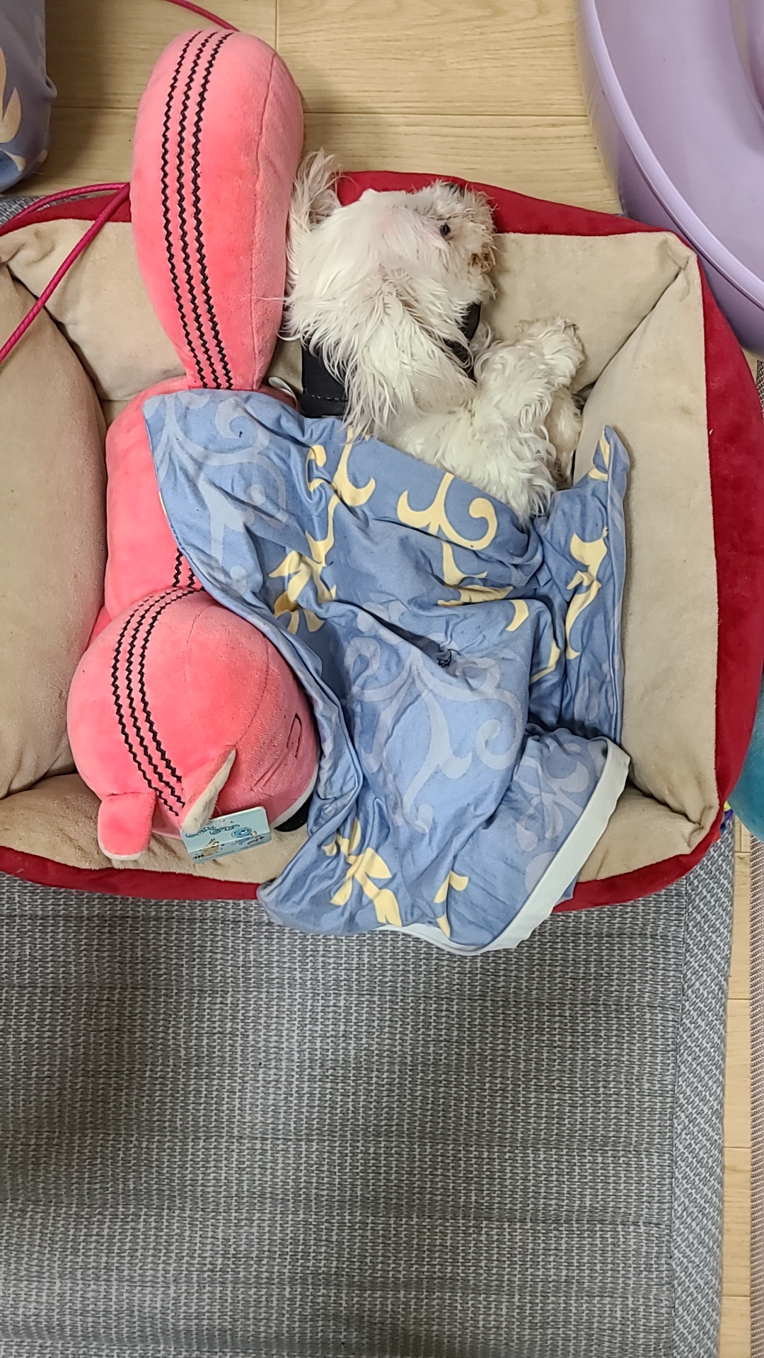 벌써 1년 9개월~~!