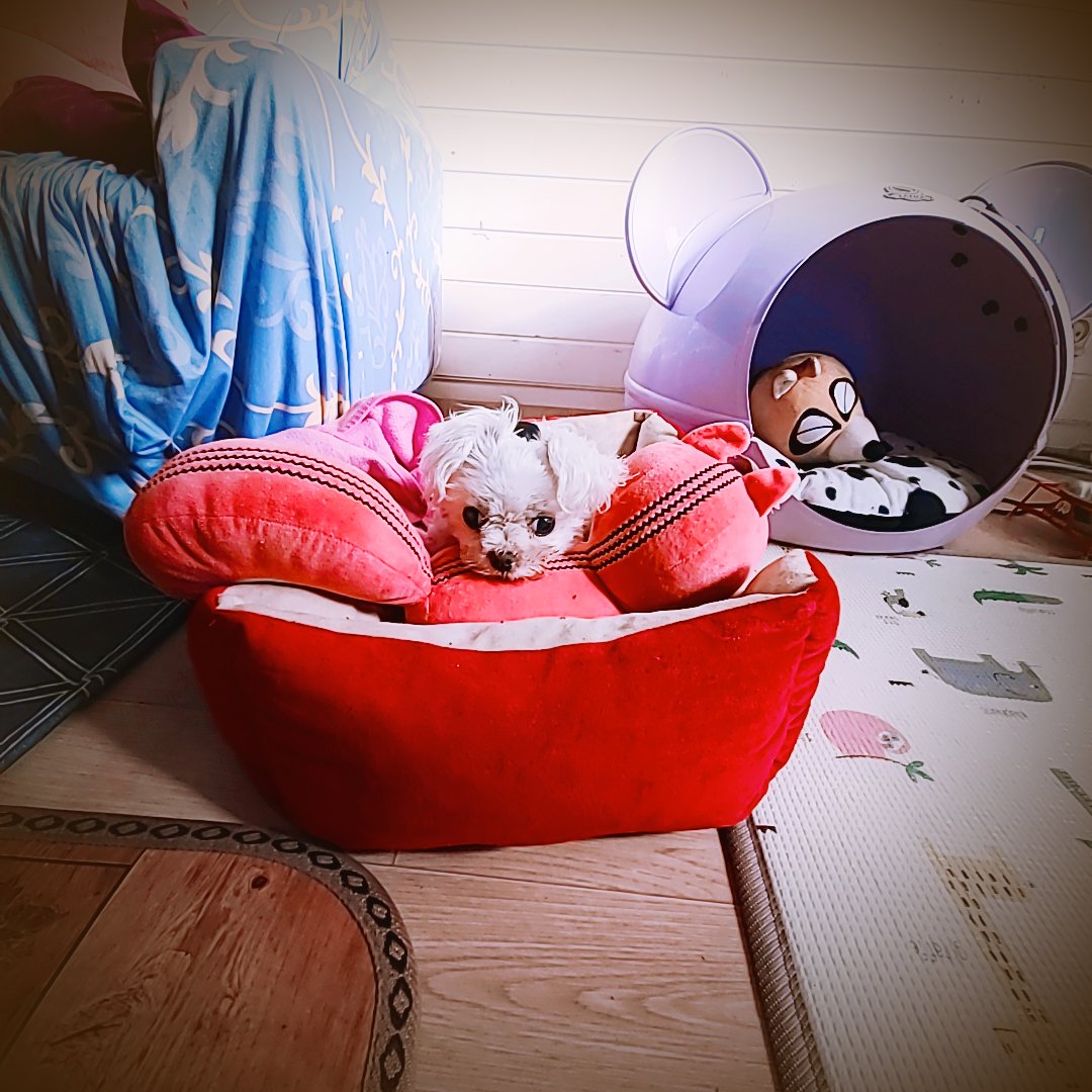 벌써 1년 9개월~~!