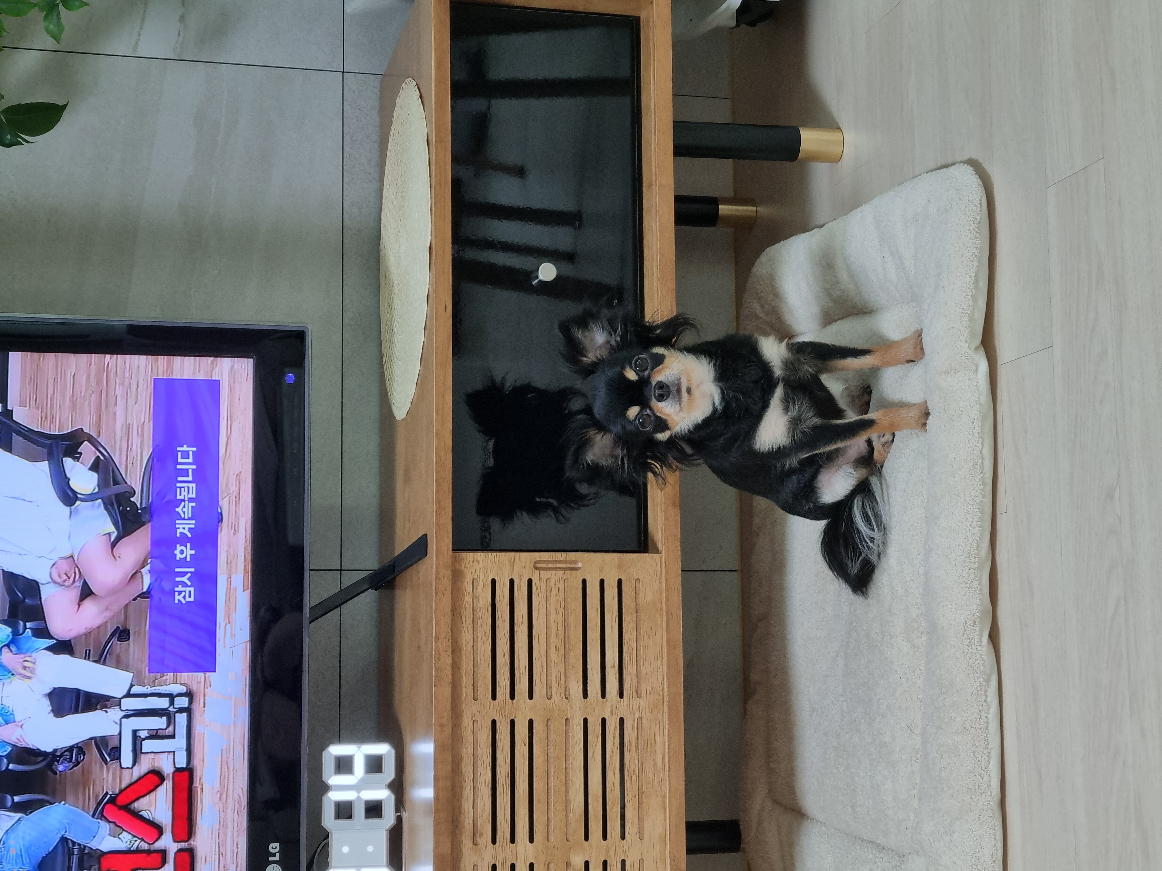 평택 별이 벌써 2년 되었네요