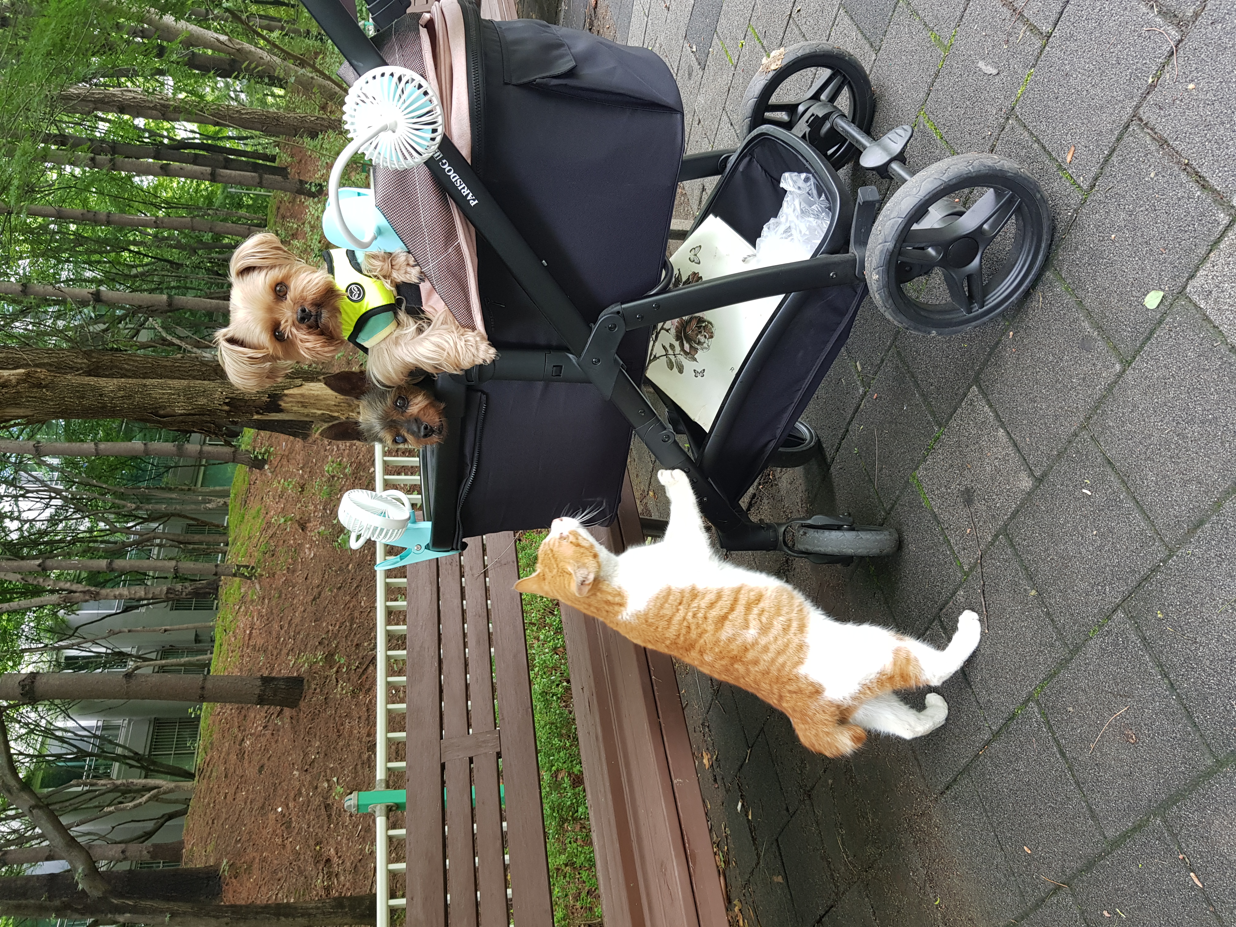 밤이(티파니),소금이(하트)소식전해요!