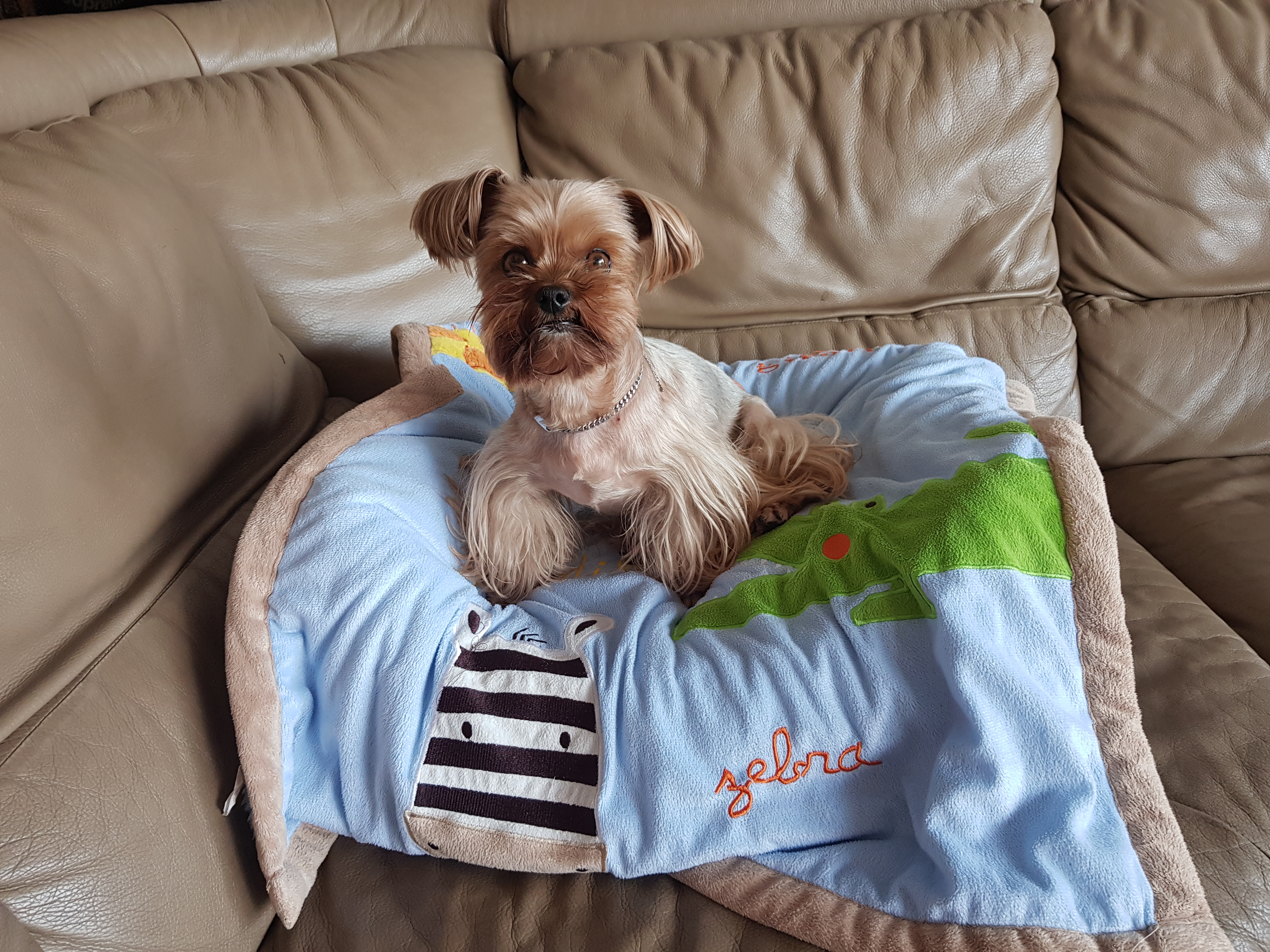 밤이(티파니),소금이(하트)소식전해요!