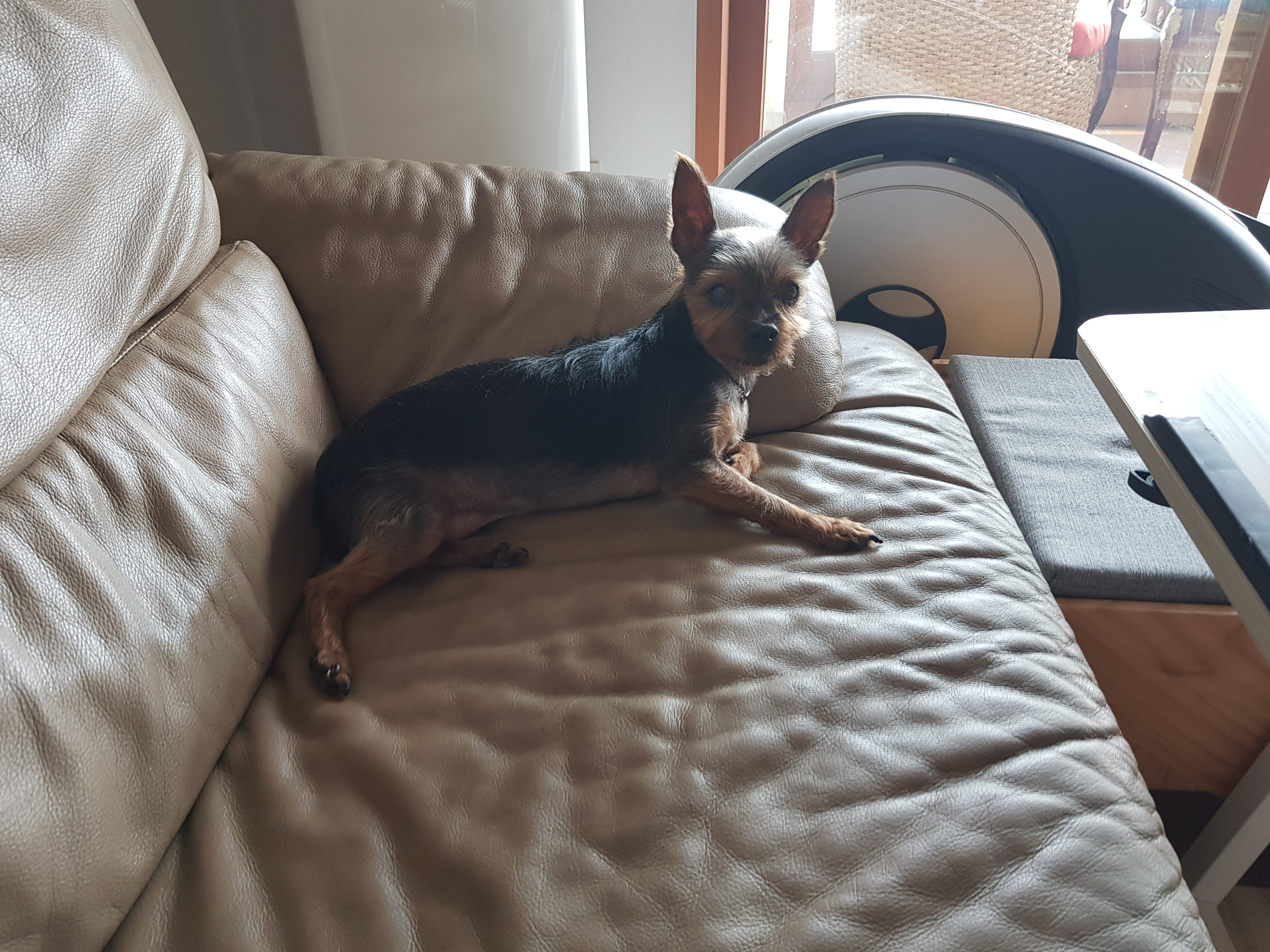 밤이(티파니),소금이(하트)소식전해요!