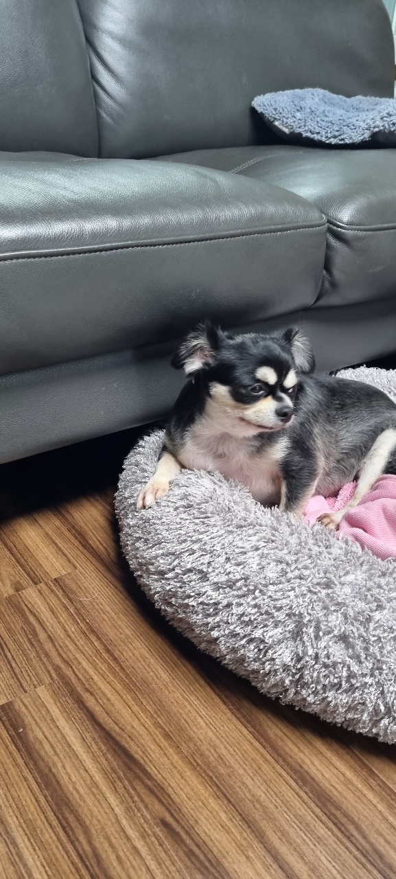 파주운정 나미^♡^