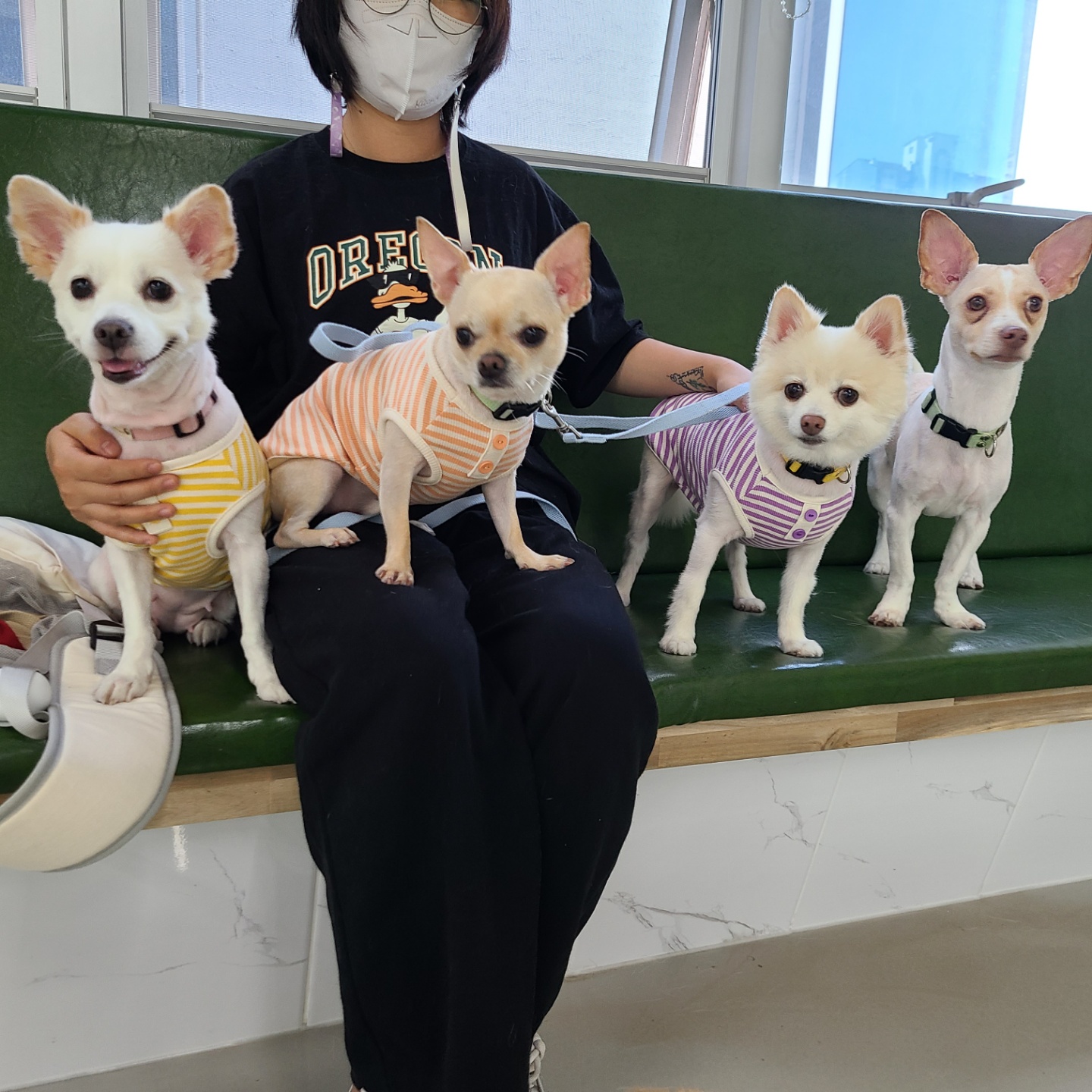 보배 7개월차!