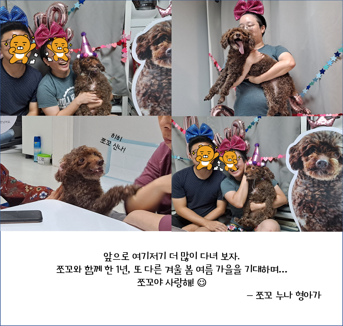 [1년 후기] 쪼꼬와 함께 한 가을 겨울 봄 여름 그리고 다시 가을