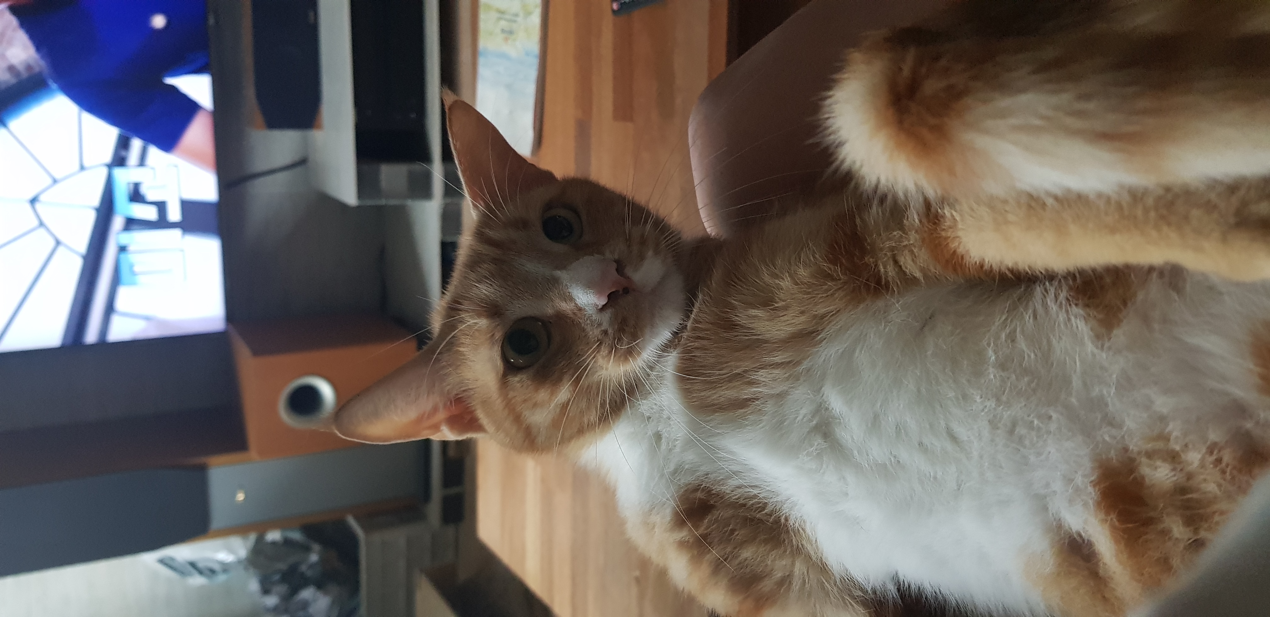 보리 후기입니다.