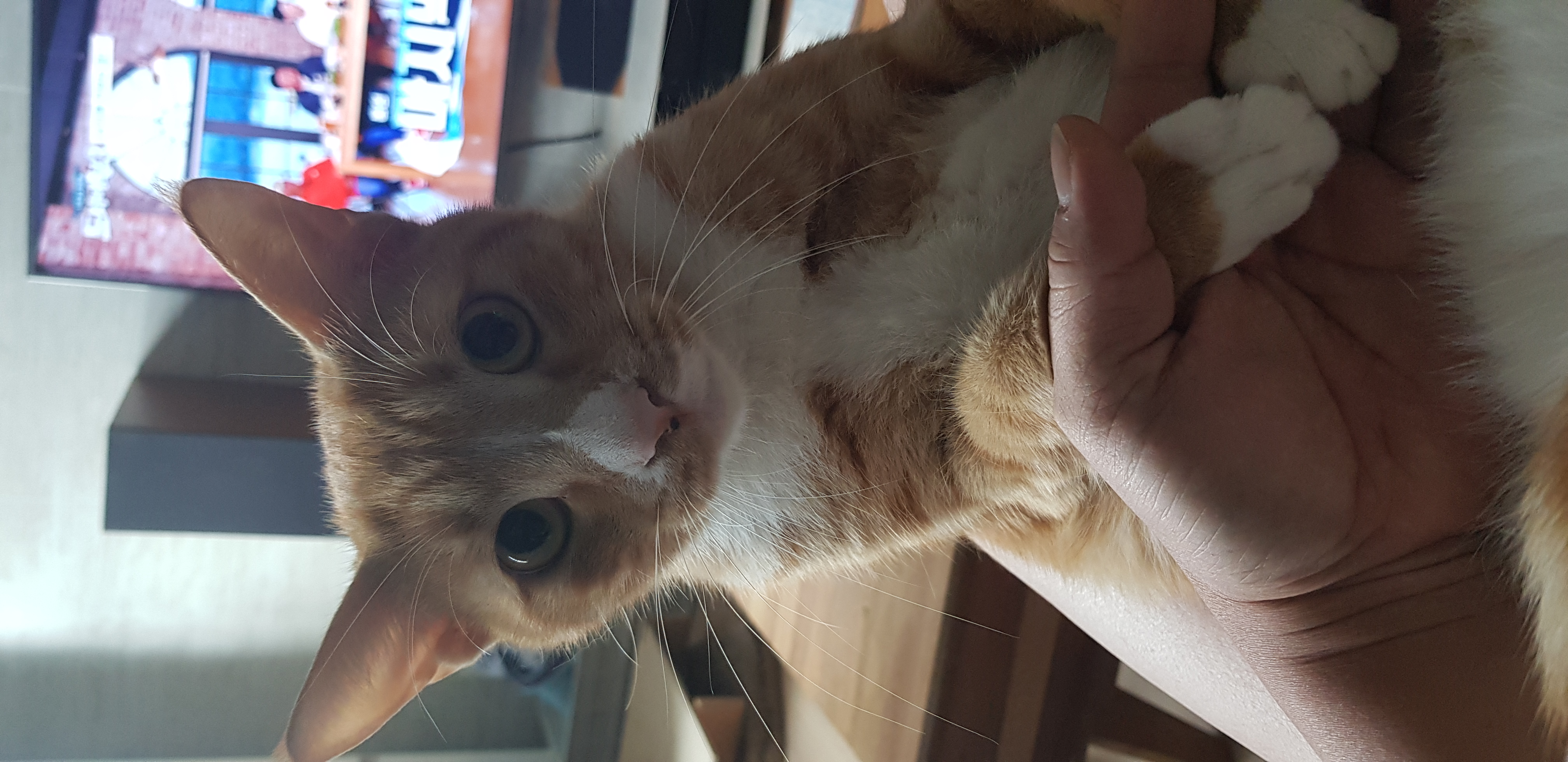 보리 후기입니다.