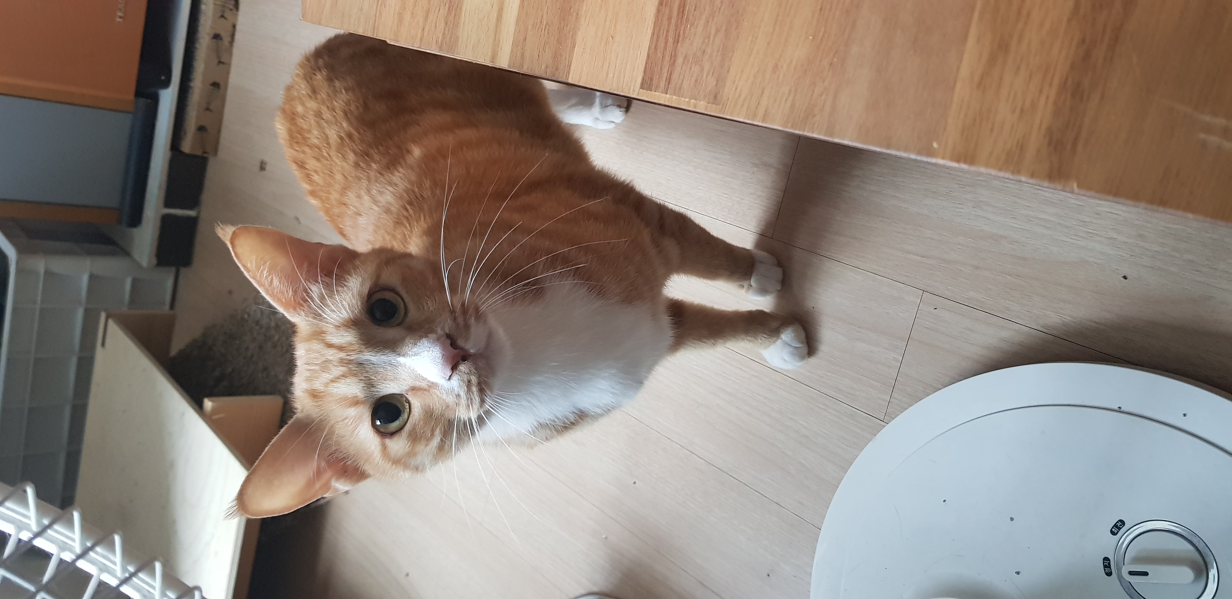 보리 후기입니다.