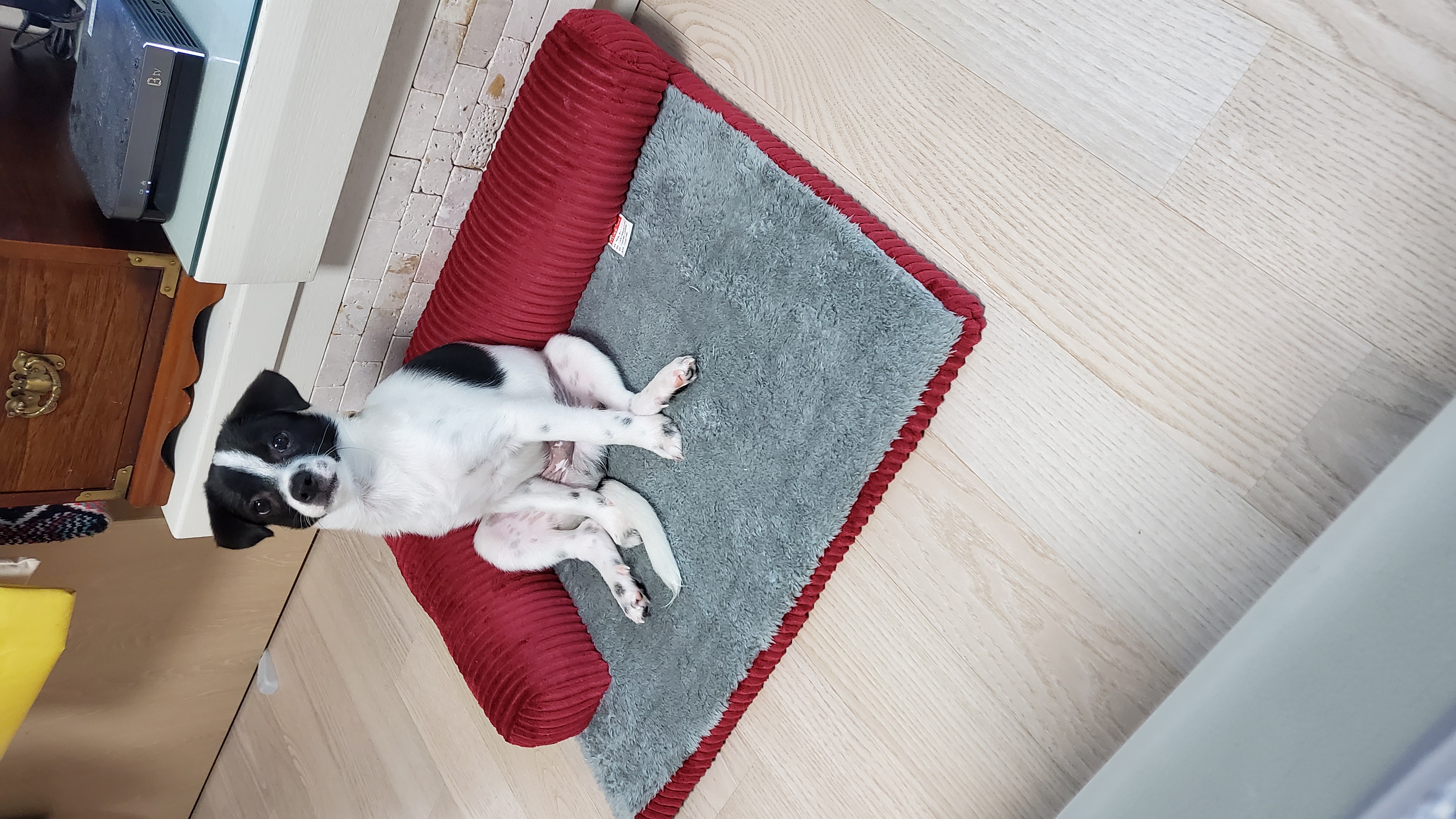 마루(모투)첫나들이