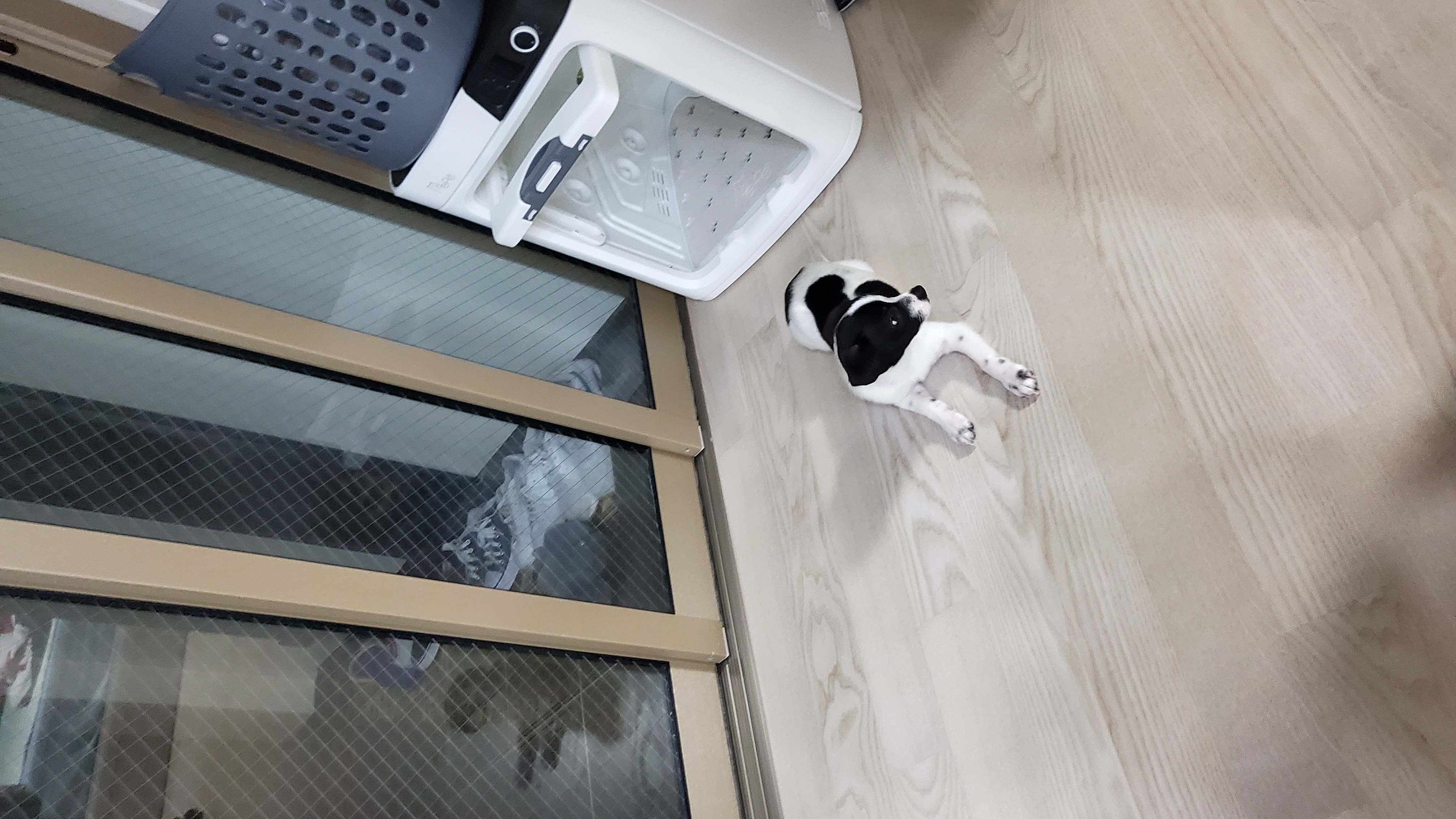 마루(모투)첫나들이