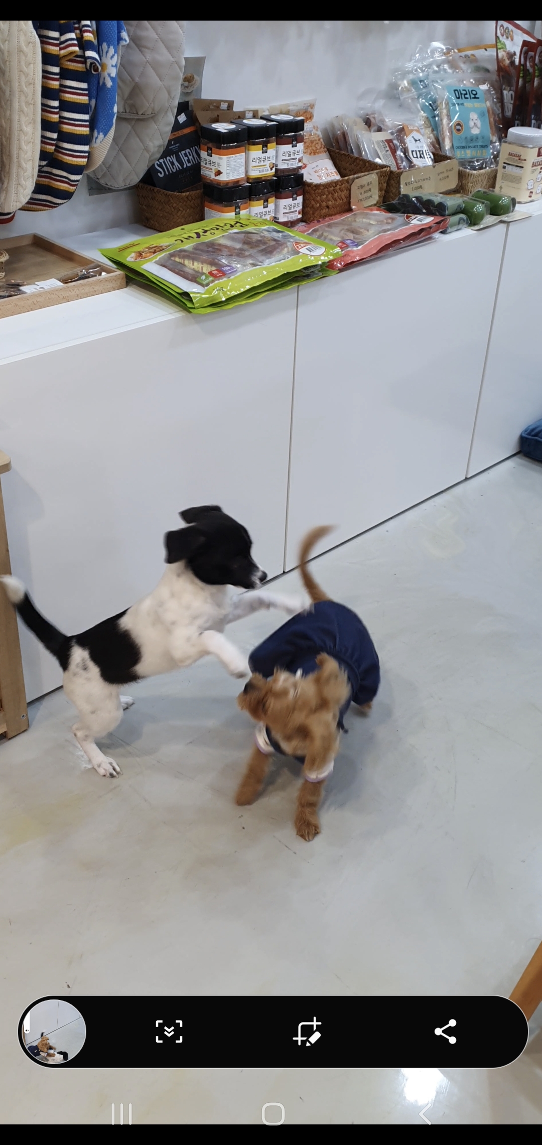 하니(모원)5주차