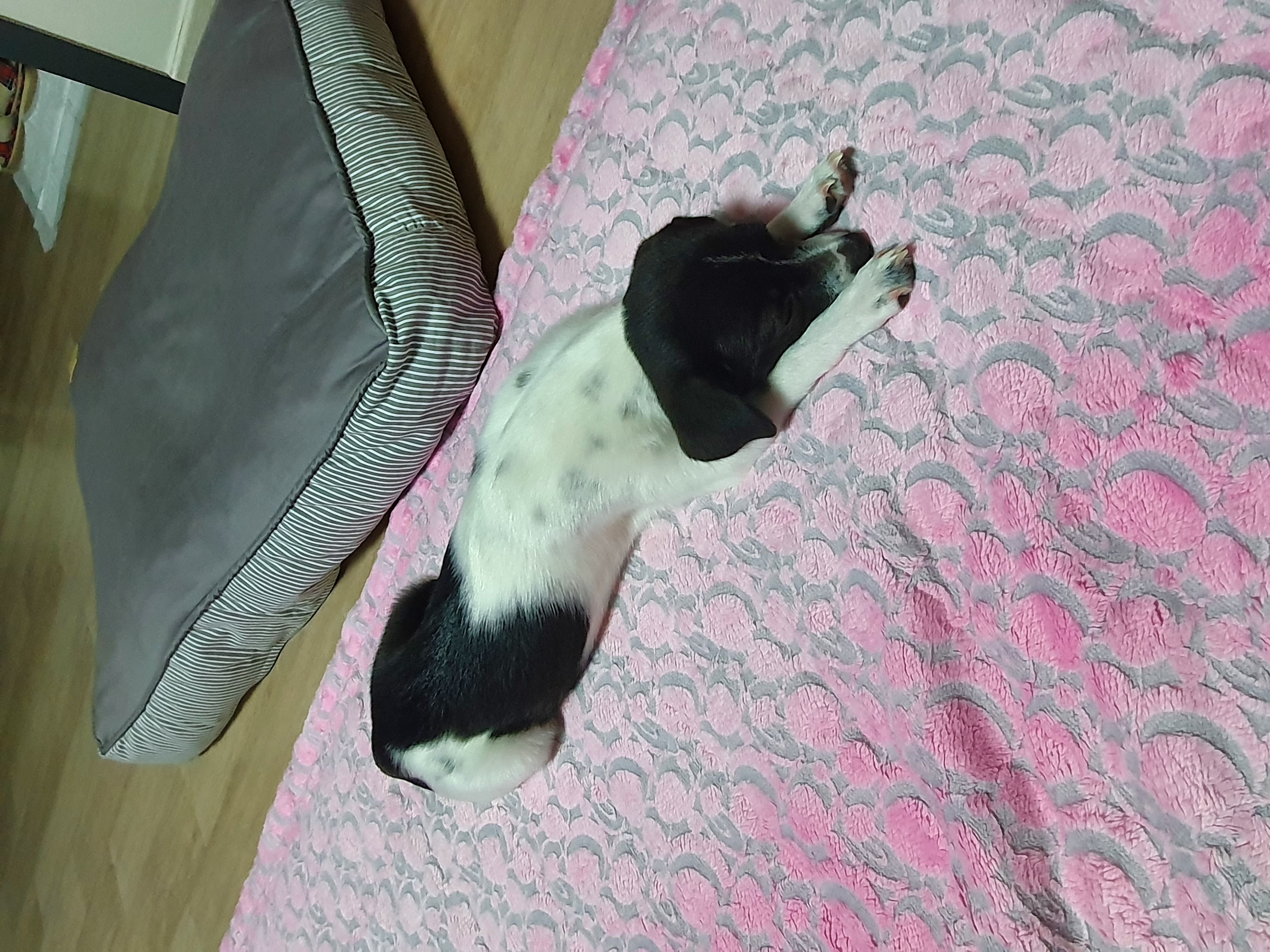 하니(모원)5주차