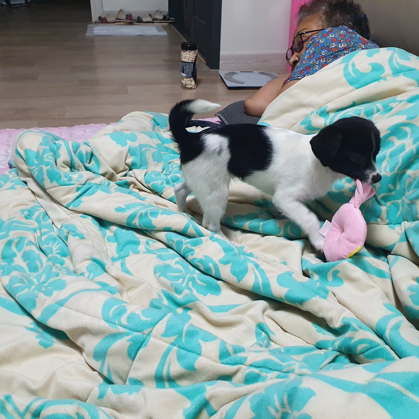 하니(모원)5주차