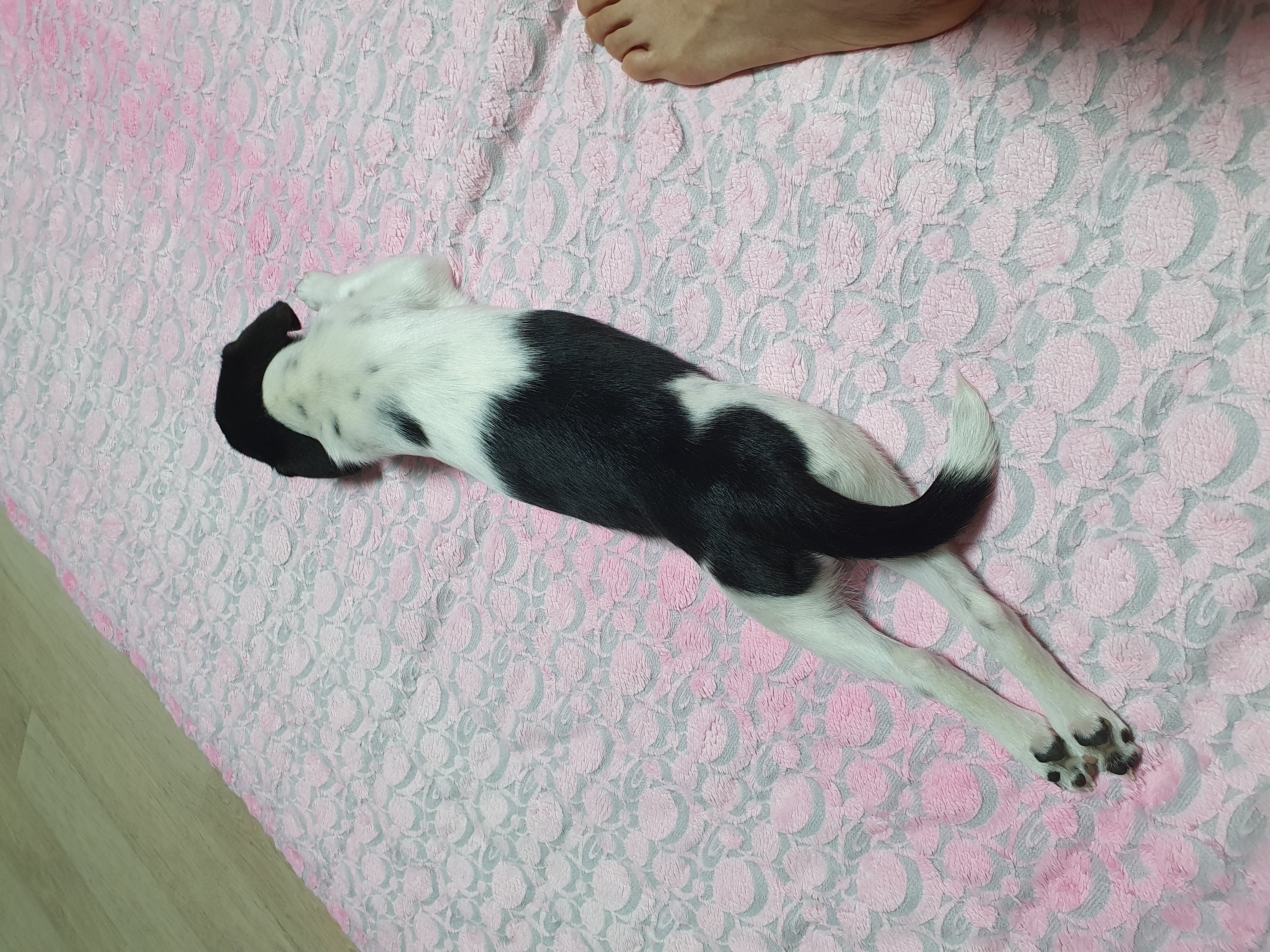 하니(모원)5주차