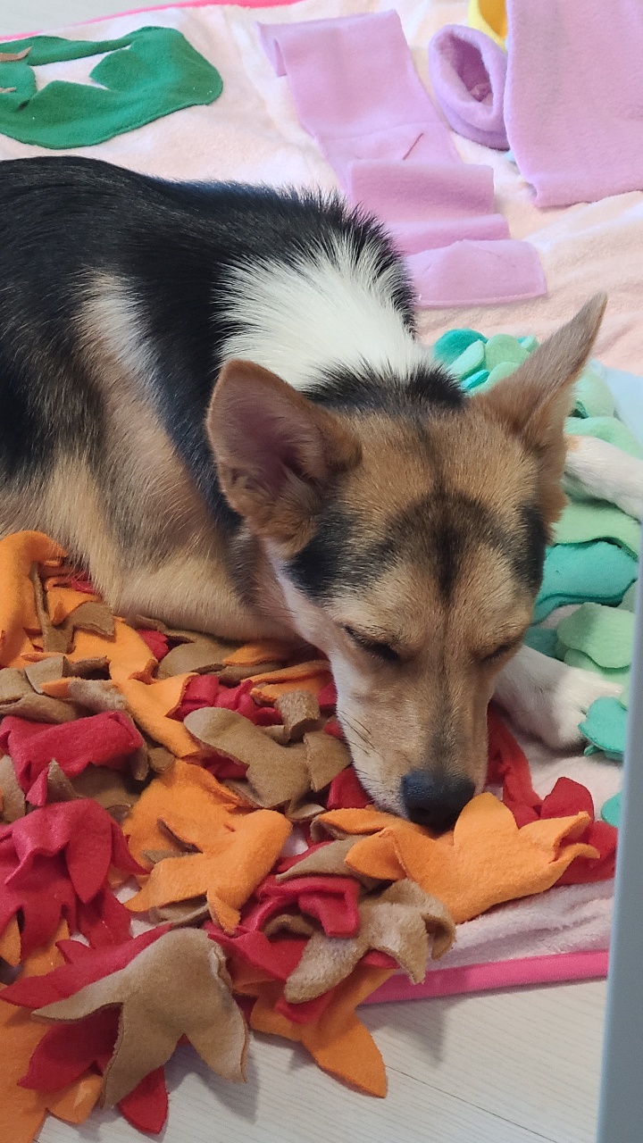 마레와 친해지고 있어요^^