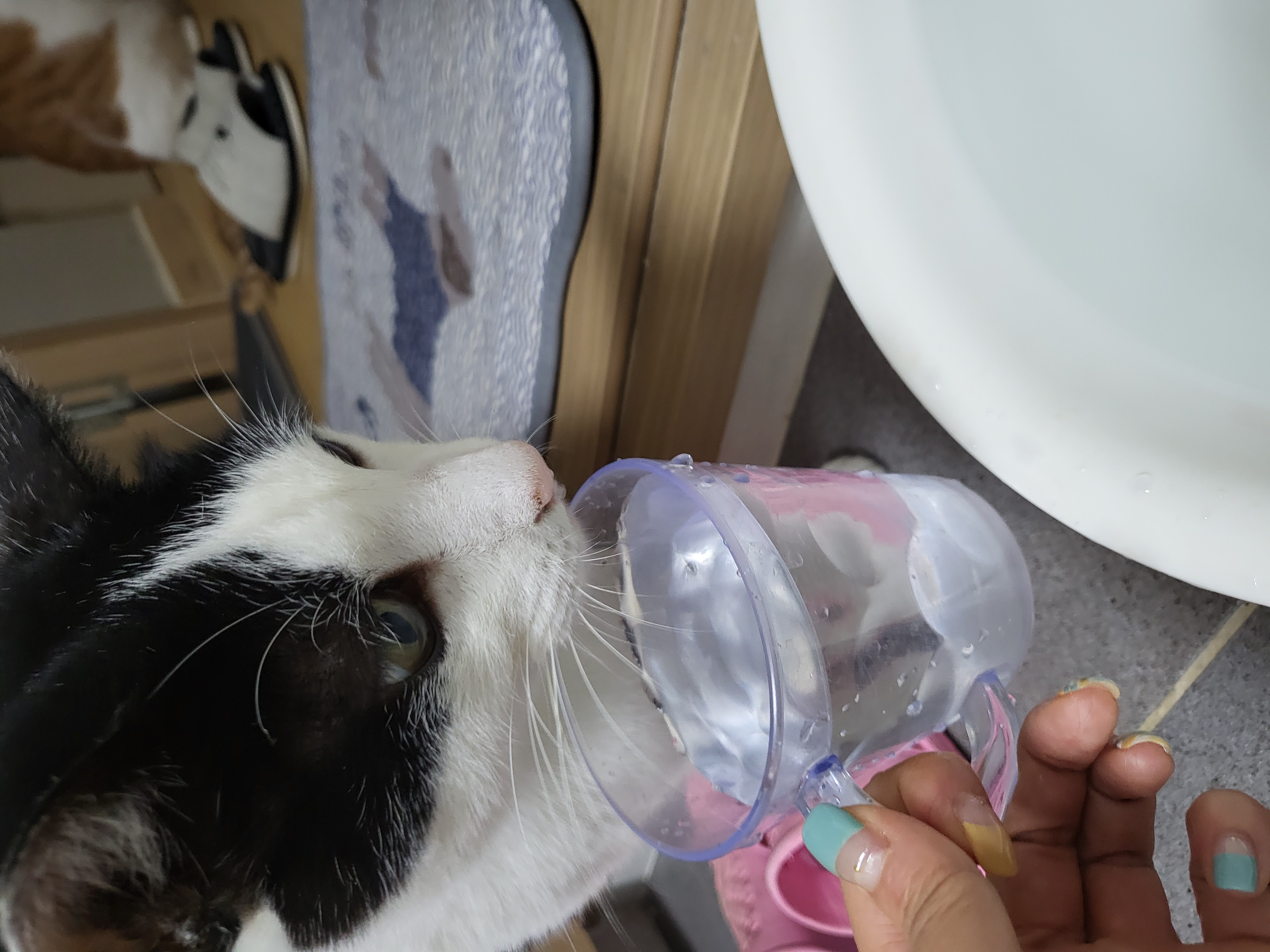 새싹이 10월근황이예요:)