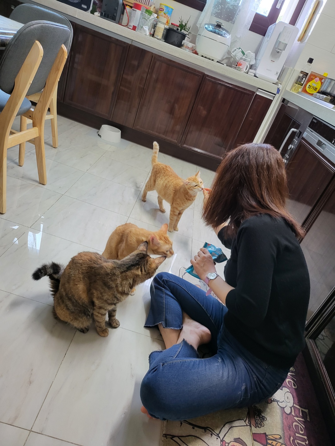 뚜비, 나나, 뽀 입양 1주년