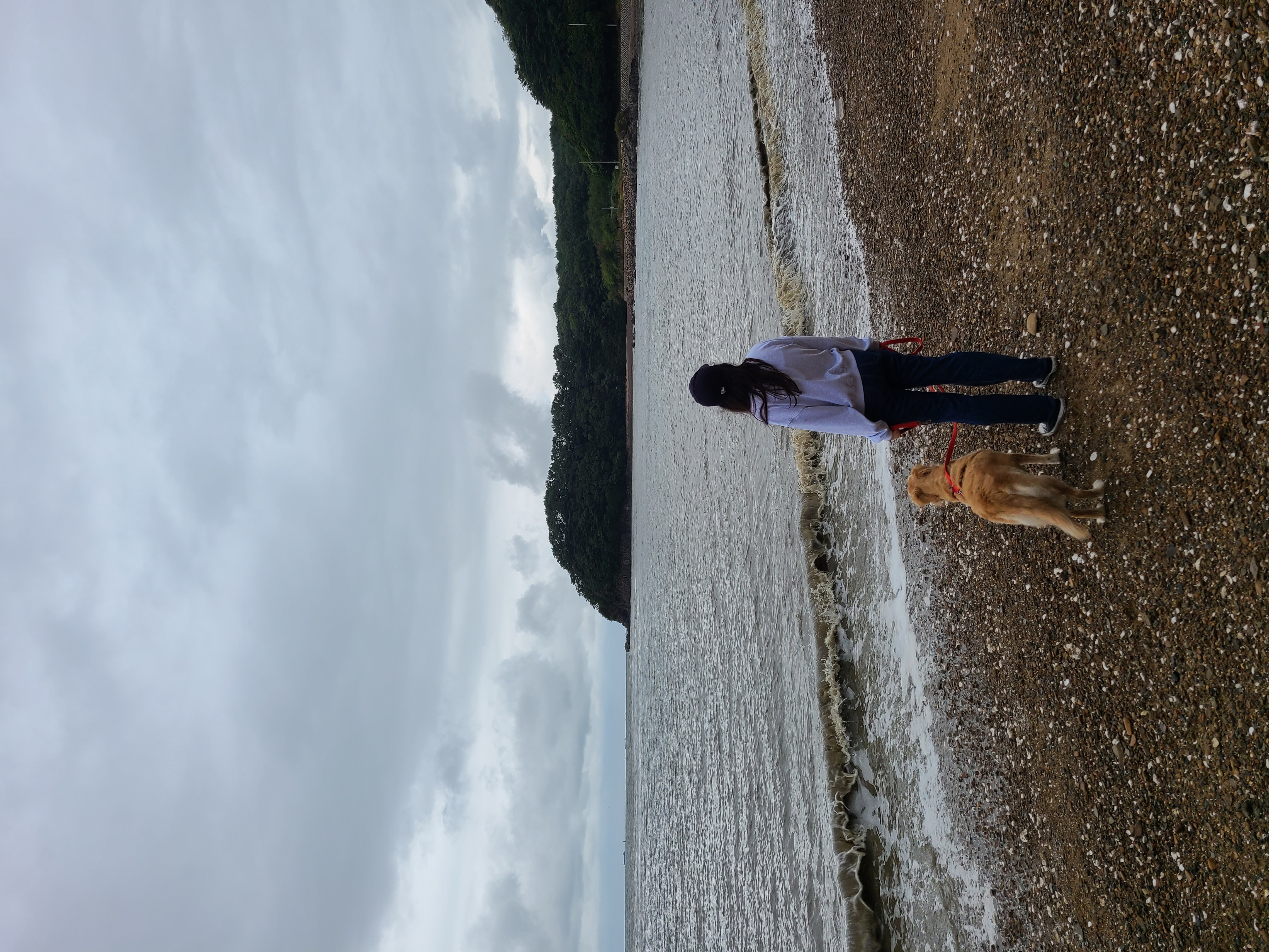 고양6번 로제와 1년입니다~