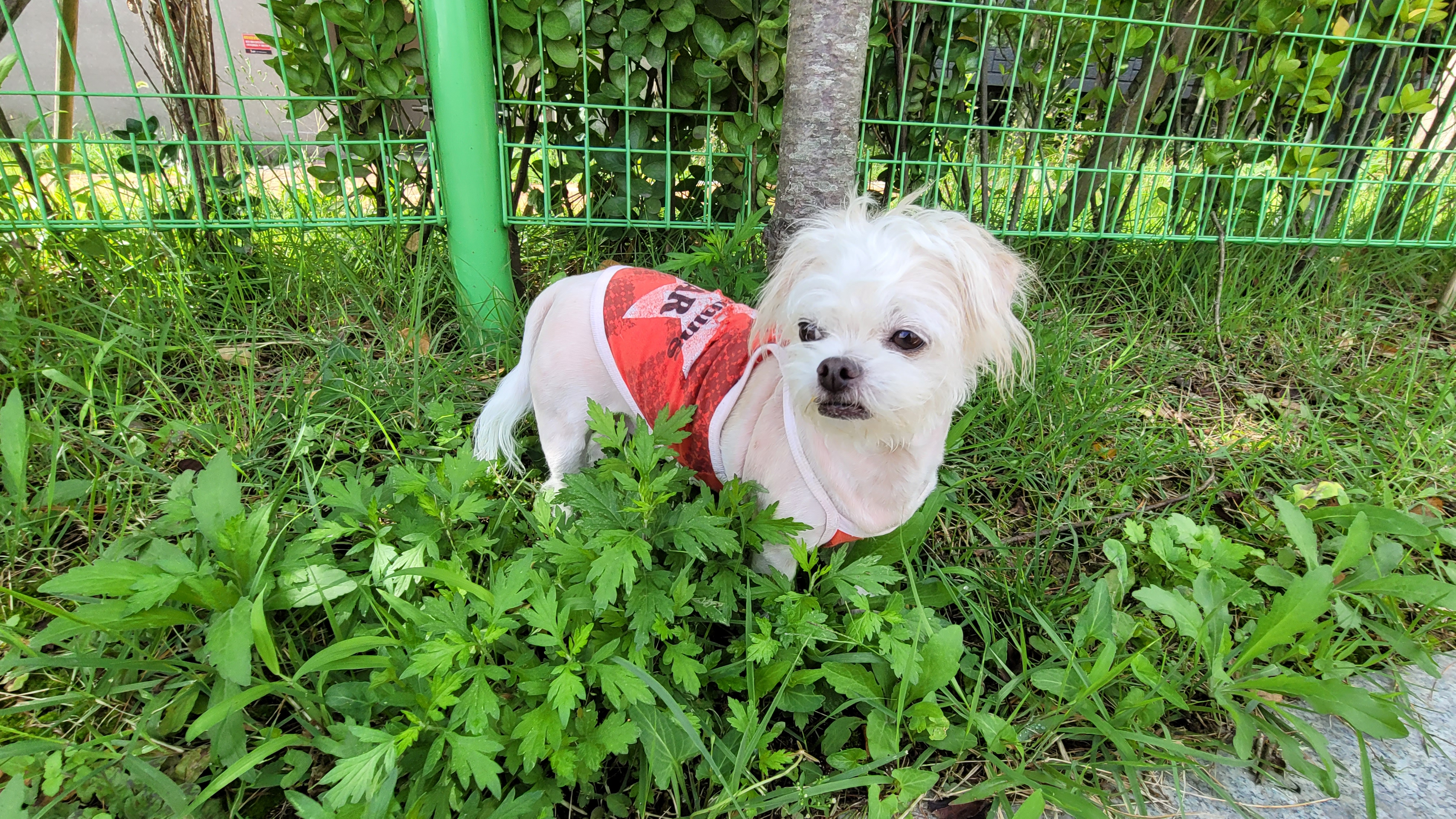 막내(한치) 잘 지내고 있어요.