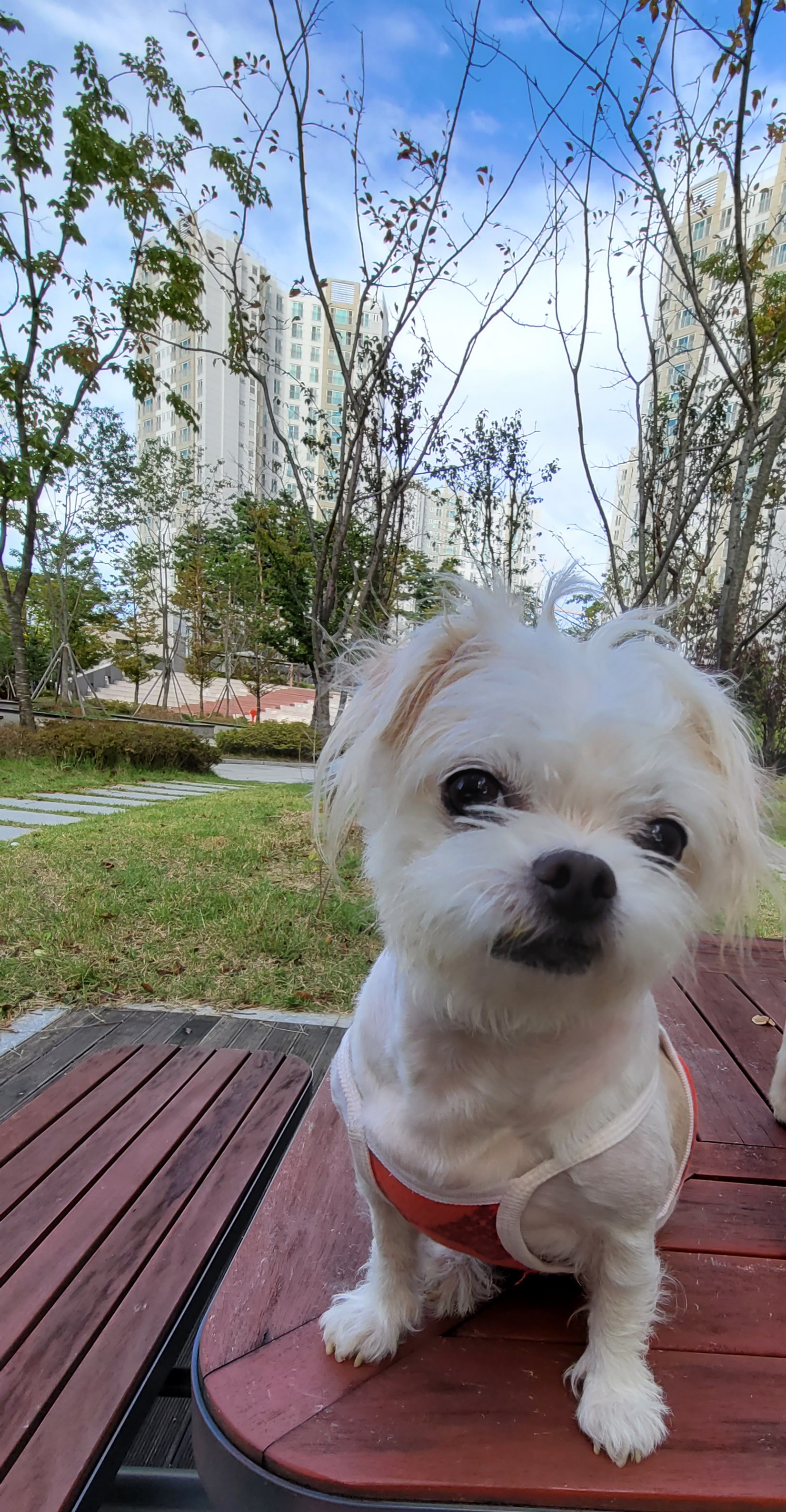 막내(한치) 잘 지내고 있어요.